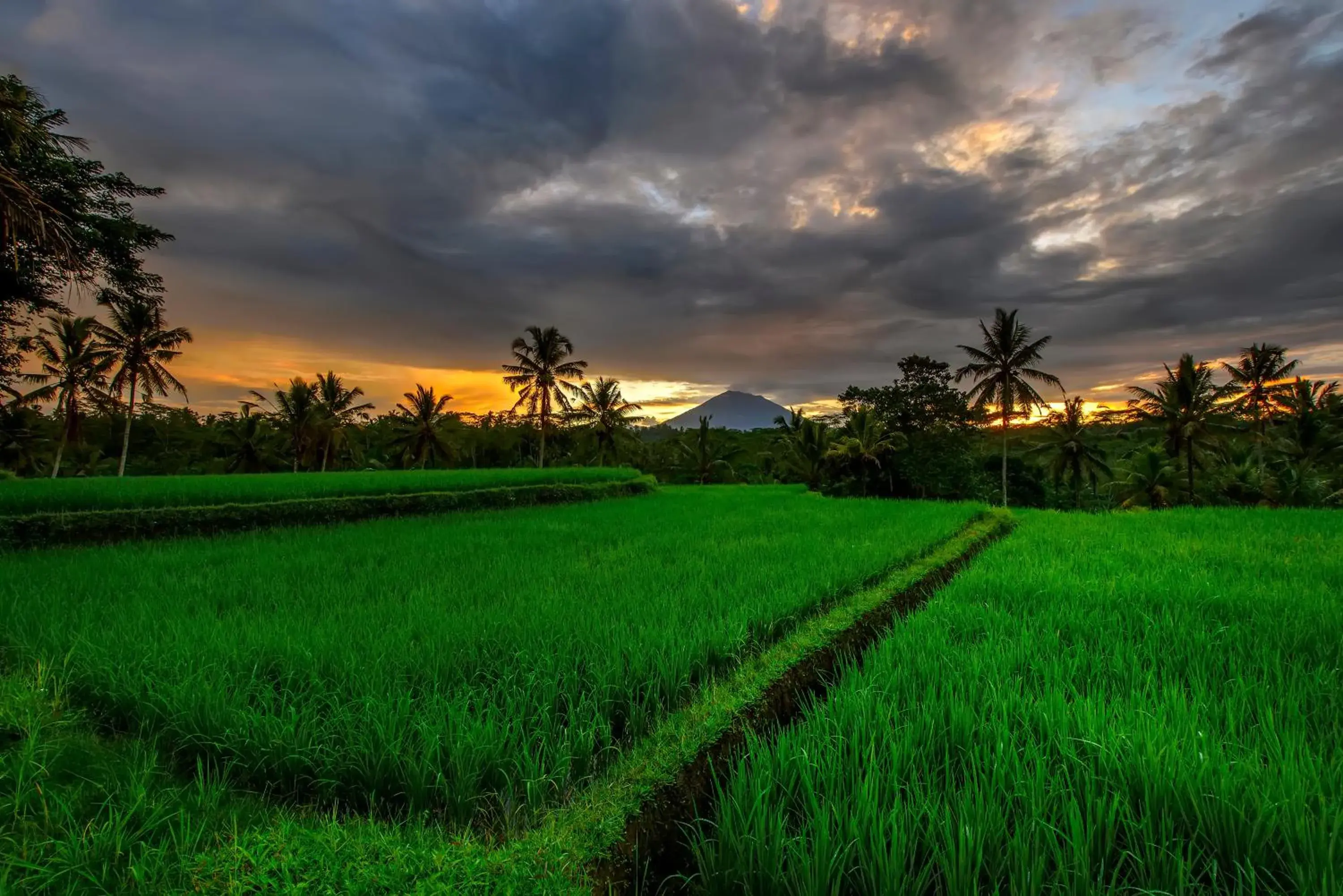 Other, Natural Landscape in Kawi Resort A Pramana Experience