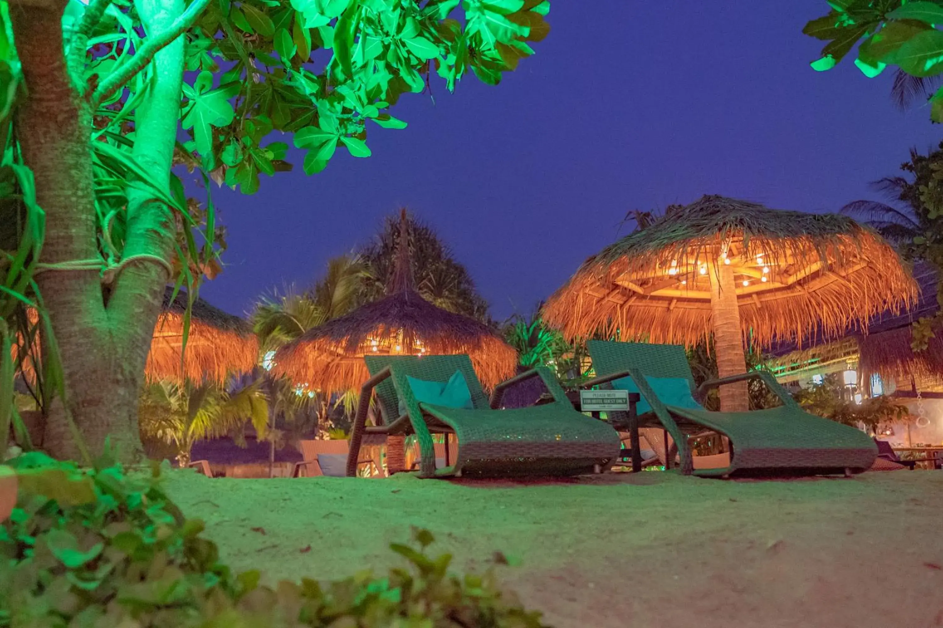 Beach in The Lazy Lodge