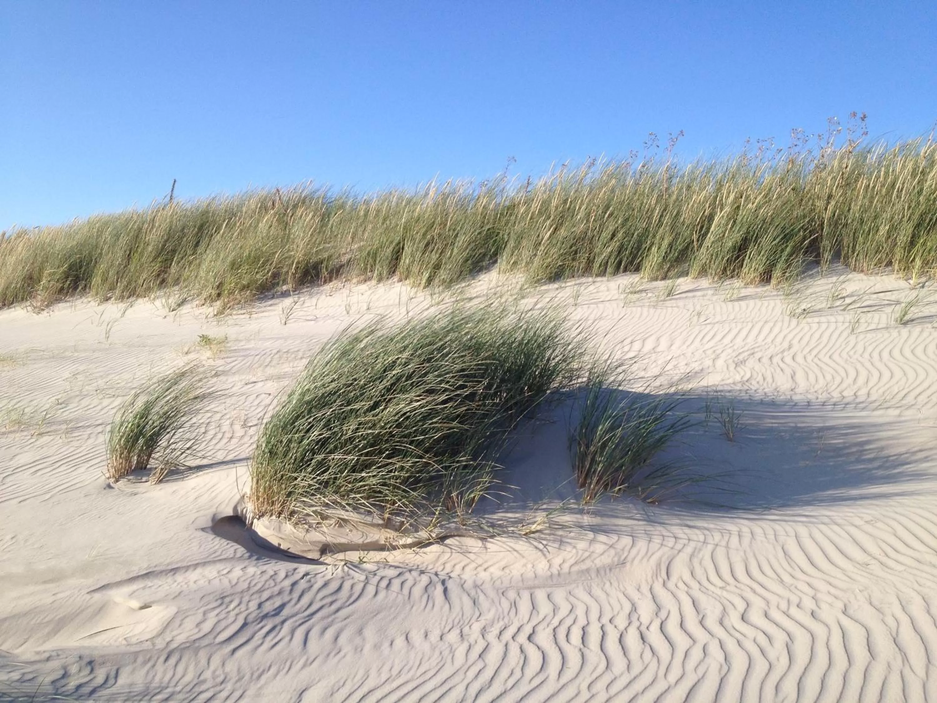 Other in Hotel Twilling