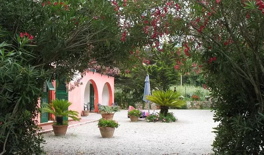 Garden view in Villa Gaia