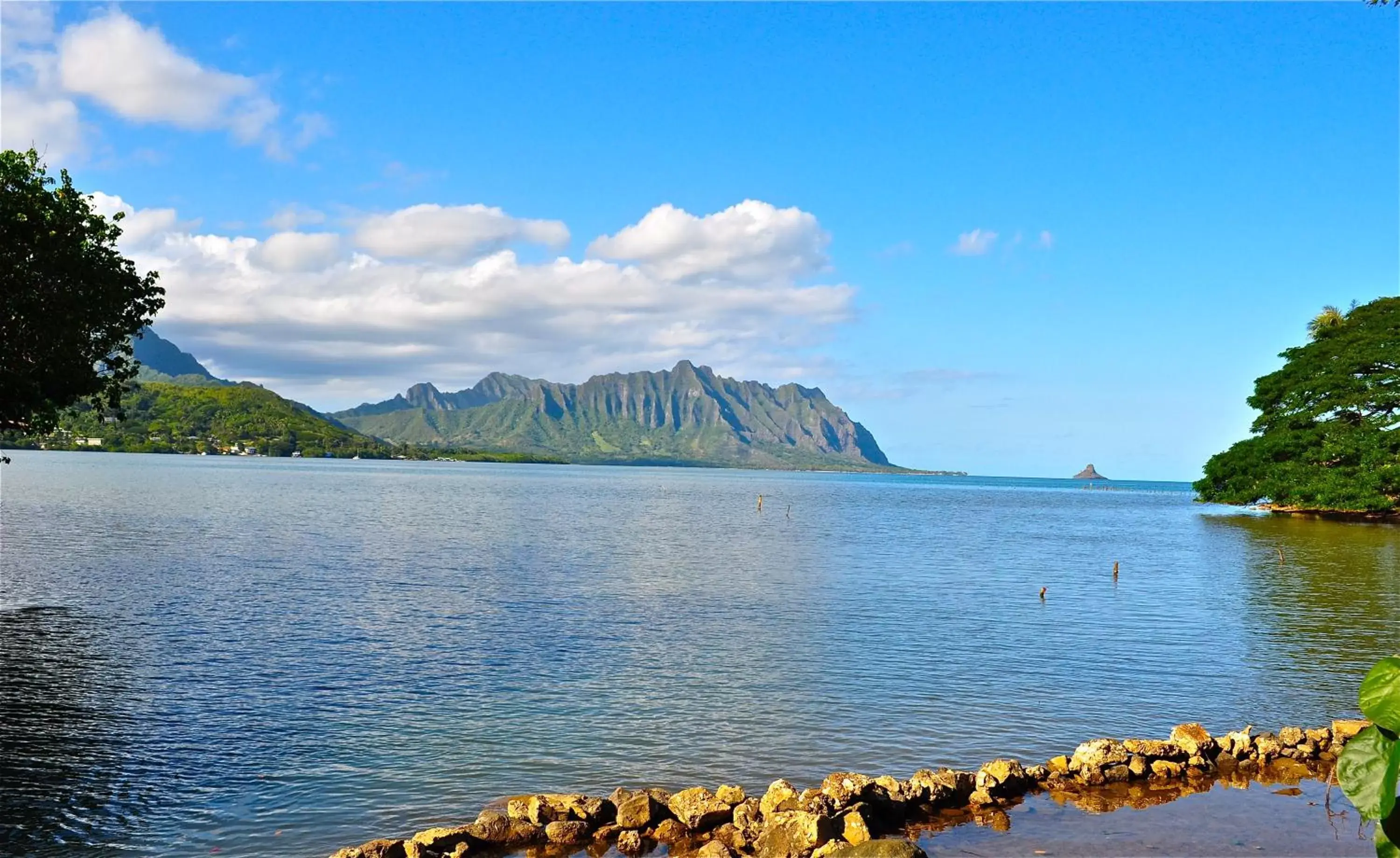 View (from property/room) in Paradise Bay Resort