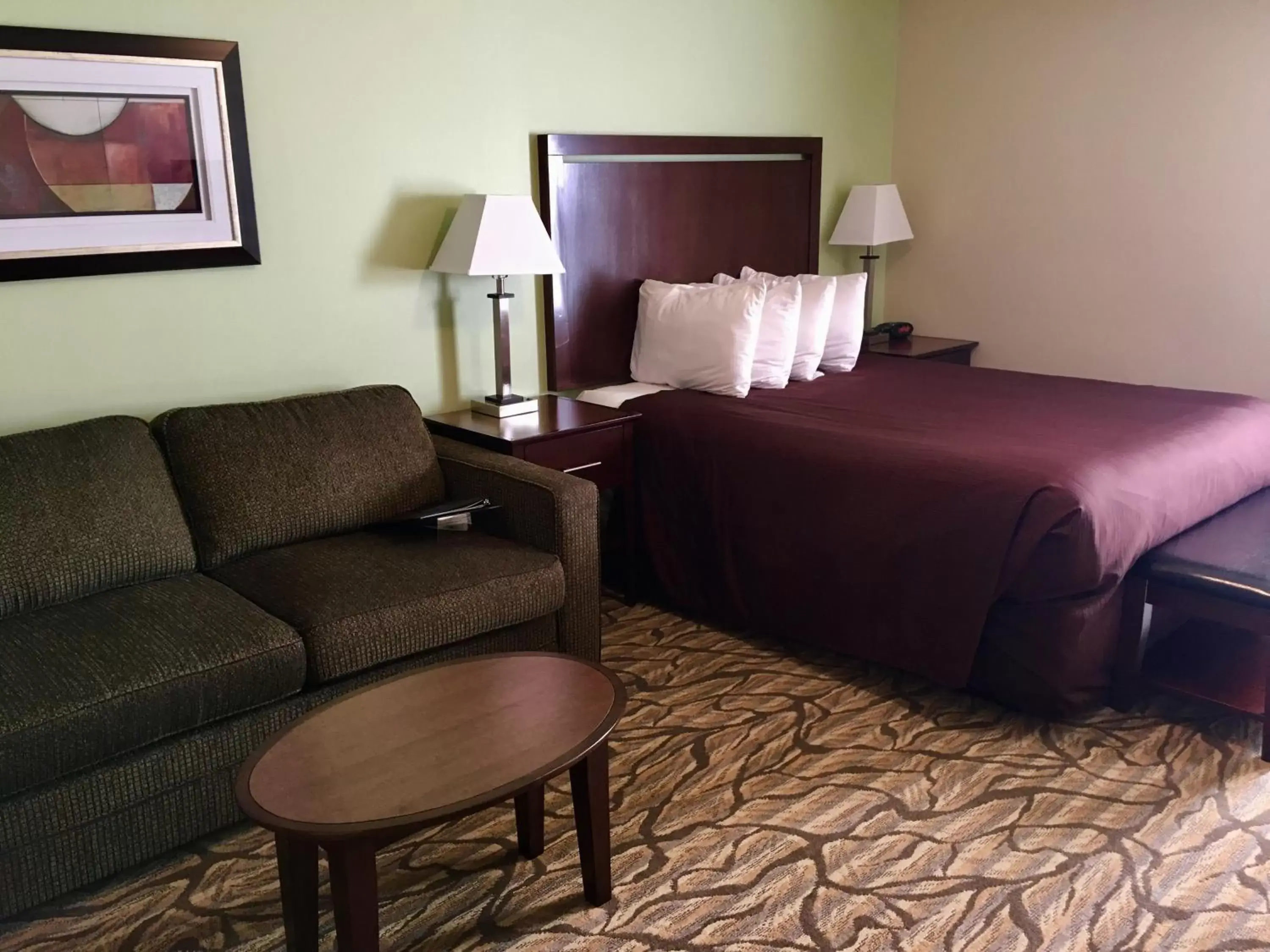 Deluxe Single Room in Aspen Suites Hotel Homer Deluxe Single Room in Aspen Suites Hotel Homer