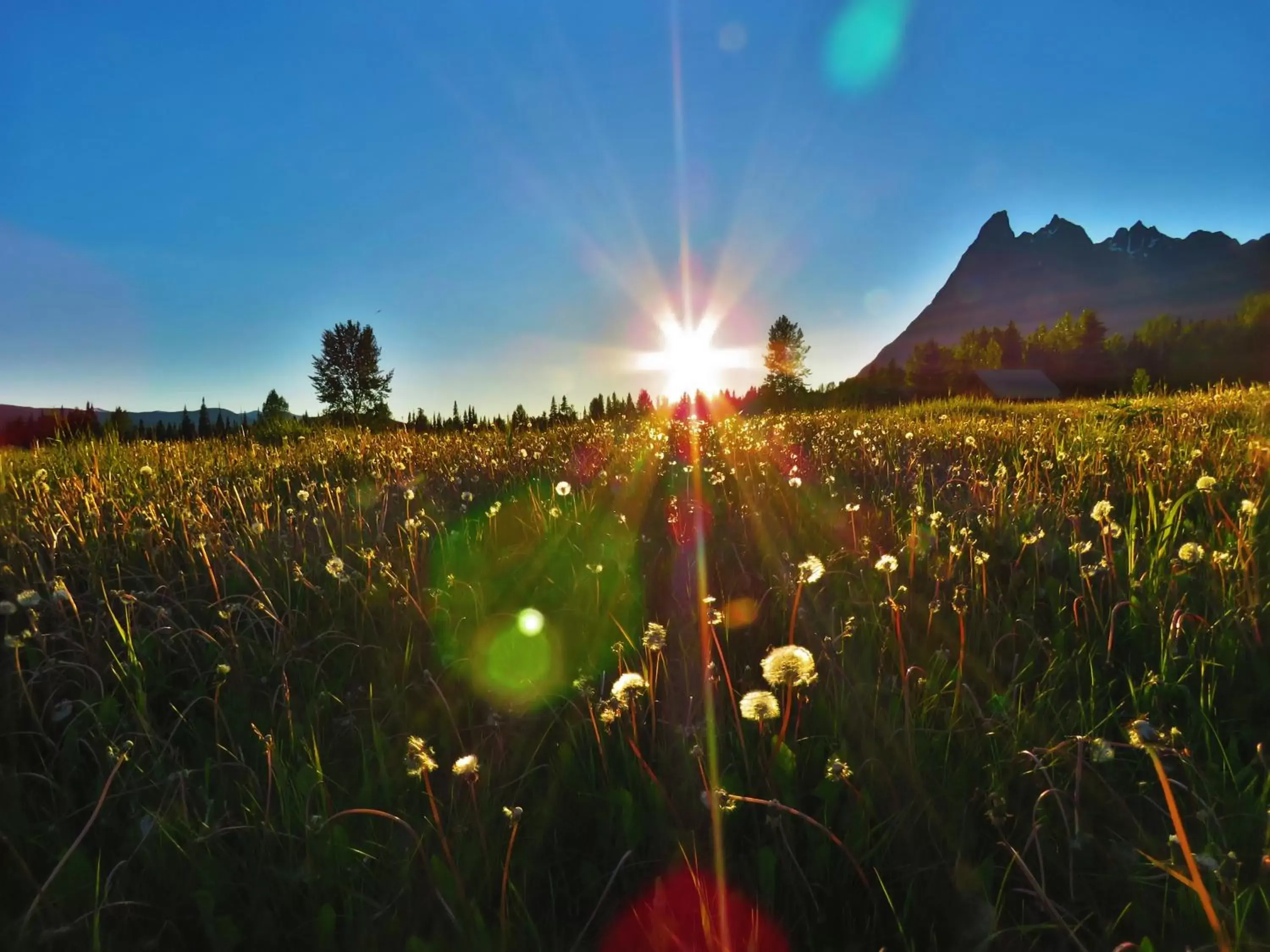 Mountain view in Rocky Ridge Resort-BC