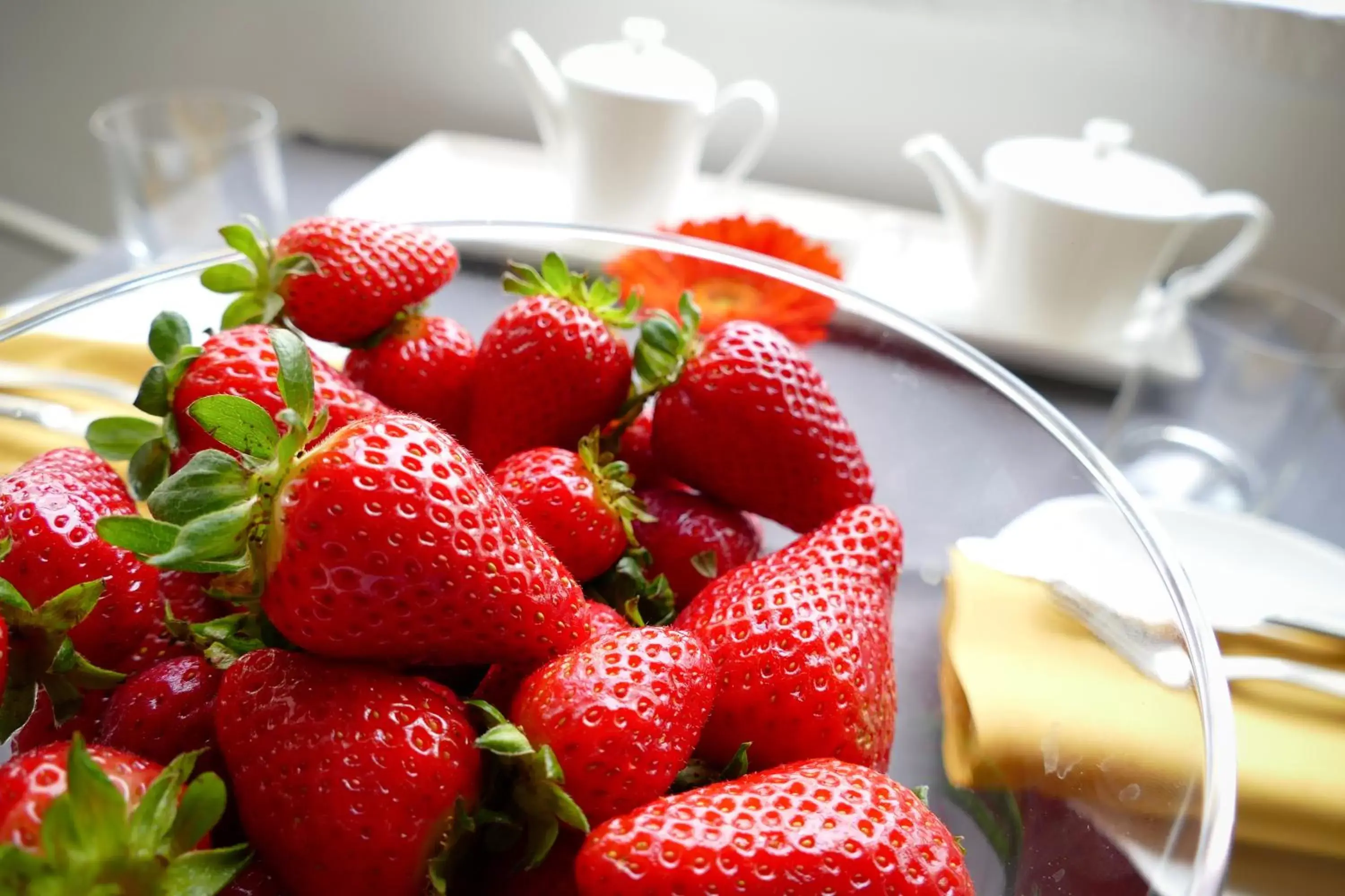 Food close-up in Palazzo De Noha - Boutique Hotel Food close-up in Palazzo De Noha - Boutique Hotel