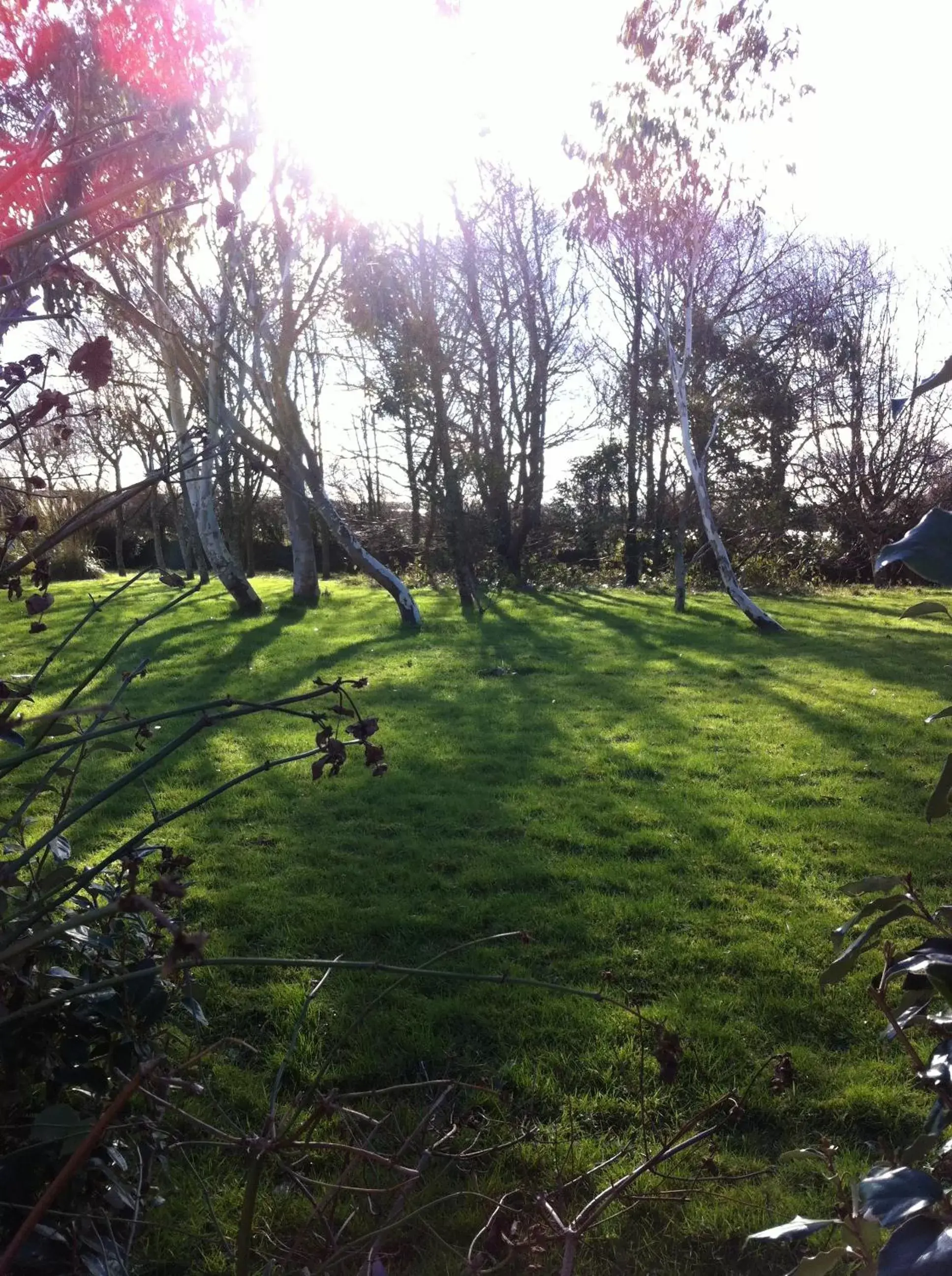 Property building, Garden in Treweens