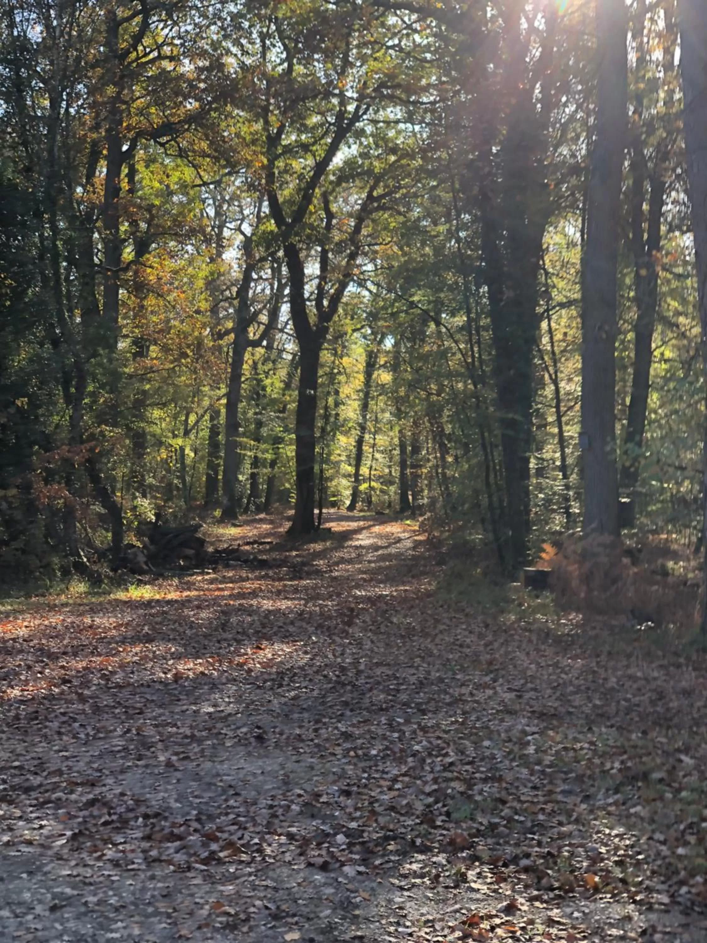 Natural landscape in La plaine de l'Angelus