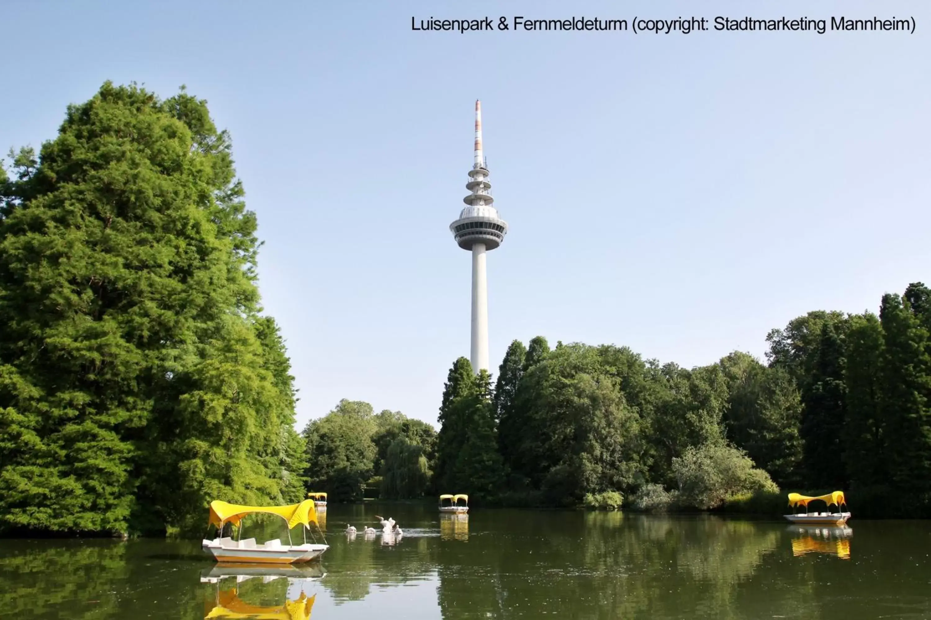 Nearby landmark in Best Western Plaza Hotel Mannheim