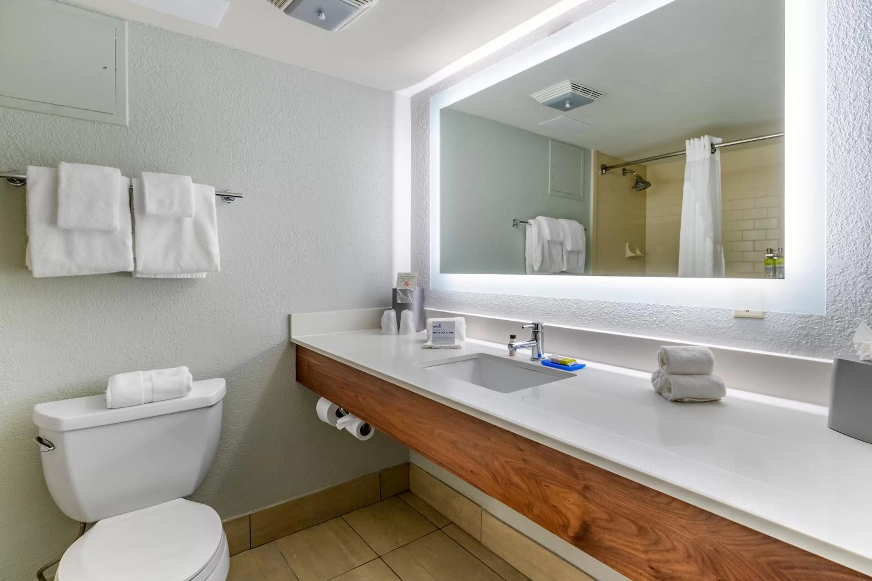 Bathroom in Holiday Inn Express Cape Coral-Fort Myers Area by IHG