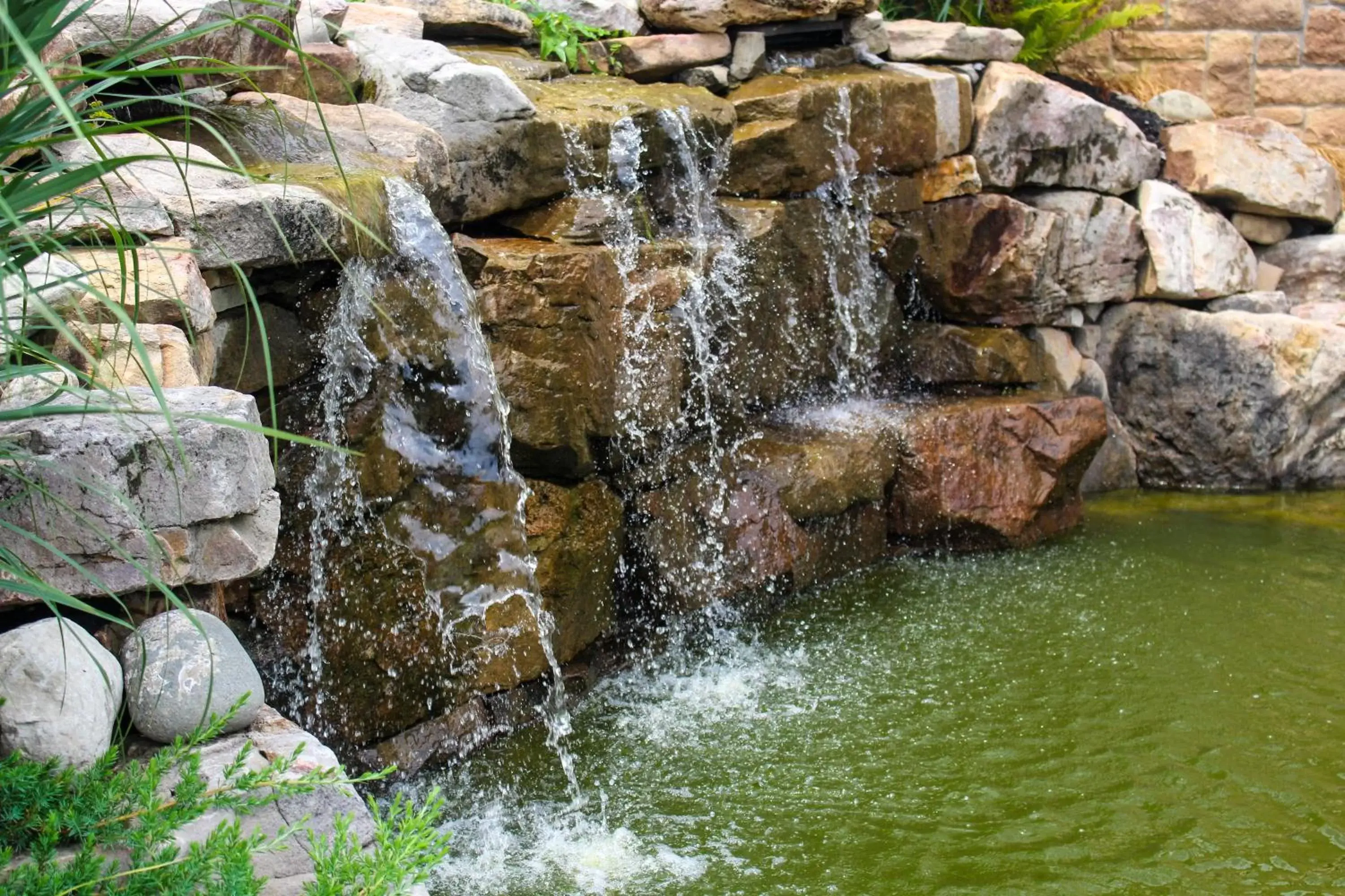 Natural Landscape in Mary's Land Farm