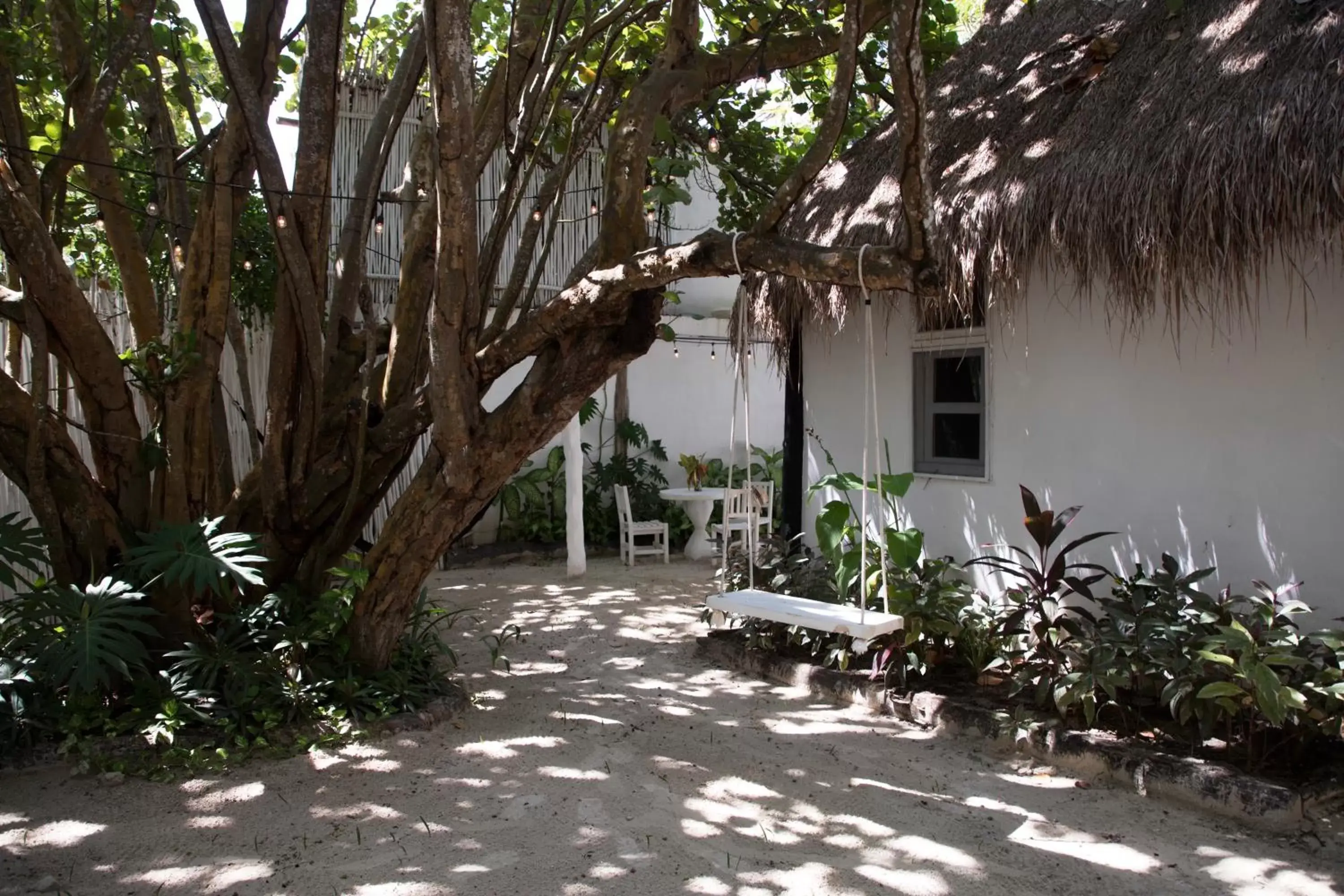 Patio, Patio/Outdoor Area in Coco Tulum Beach Club Hotel