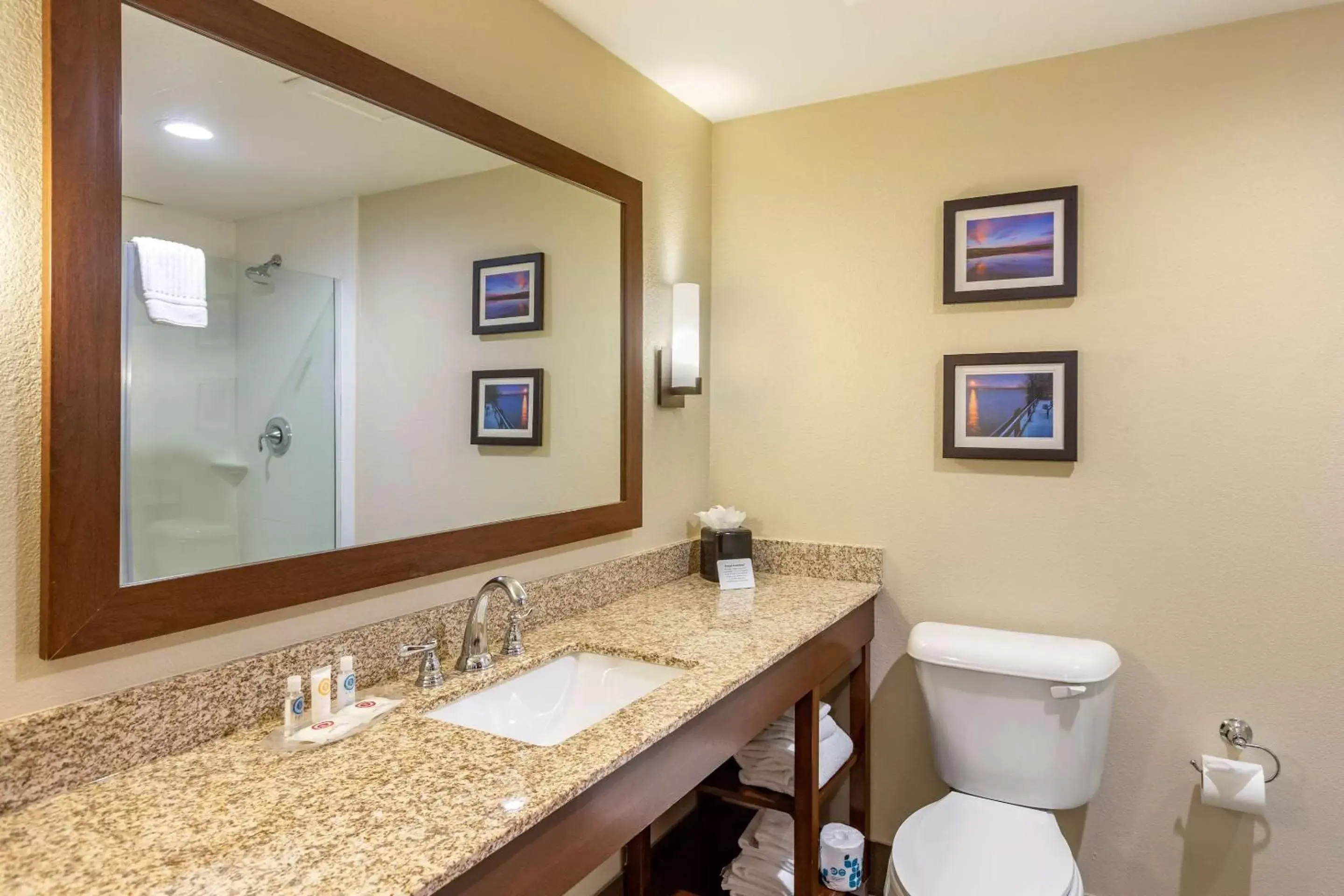 Photo of the whole room, Bathroom in Comfort Suites Near Denver Downtown