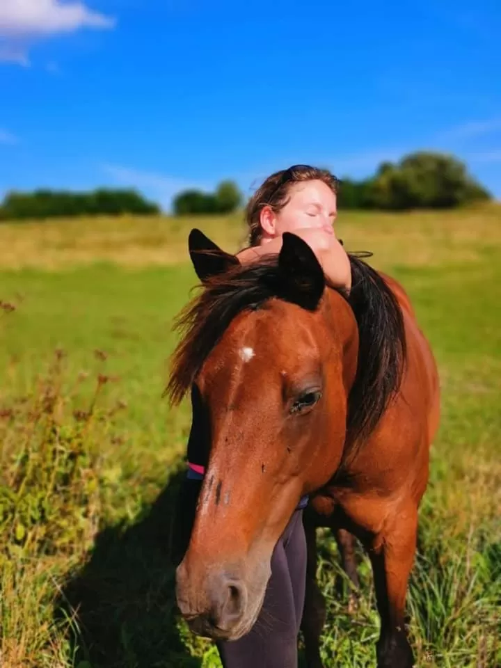 Horse-riding, Horseback Riding in Spa & Pool Apartment Hotel - Restaurant VILLA IVICA