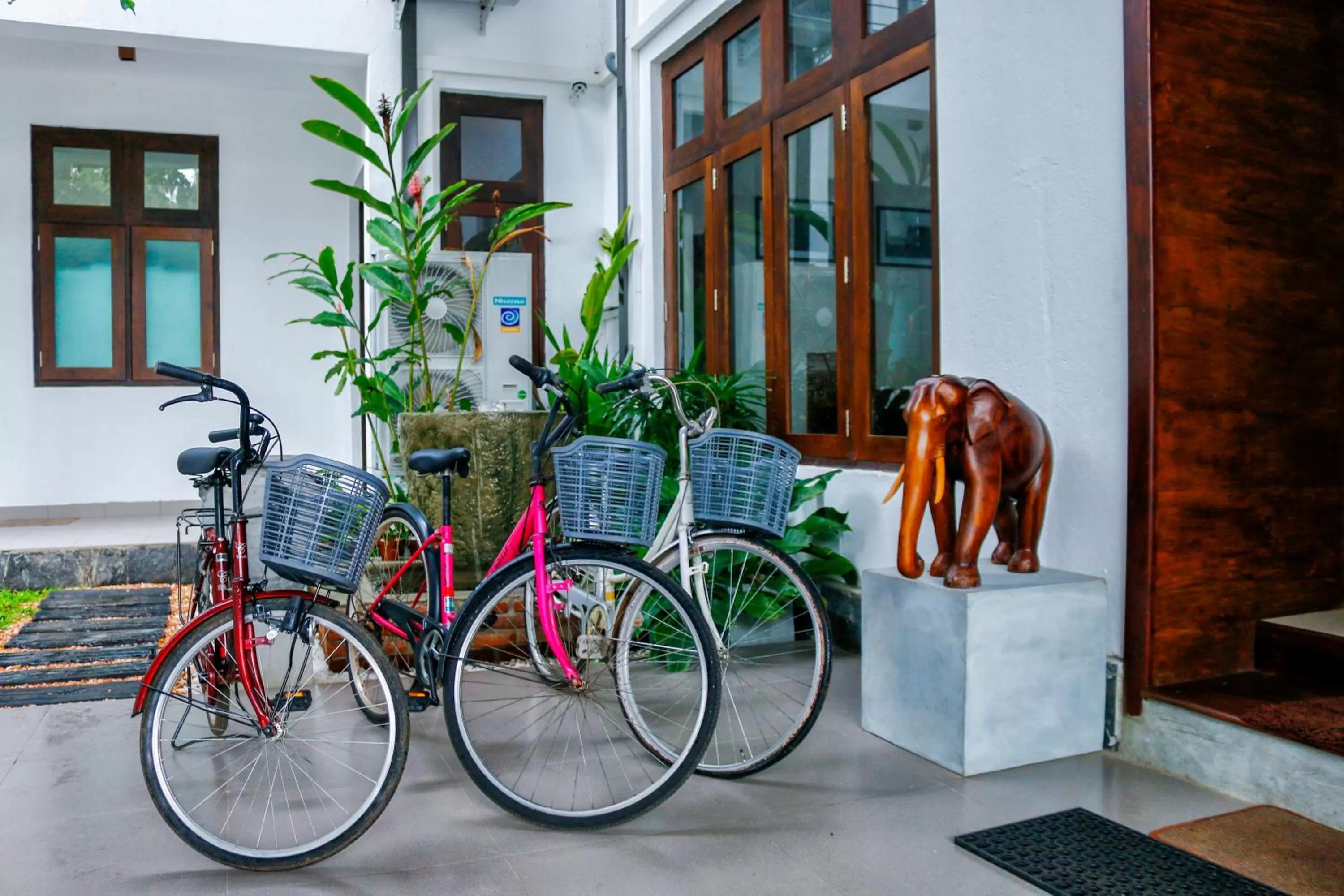 Cycling in Hotel Bella Vista