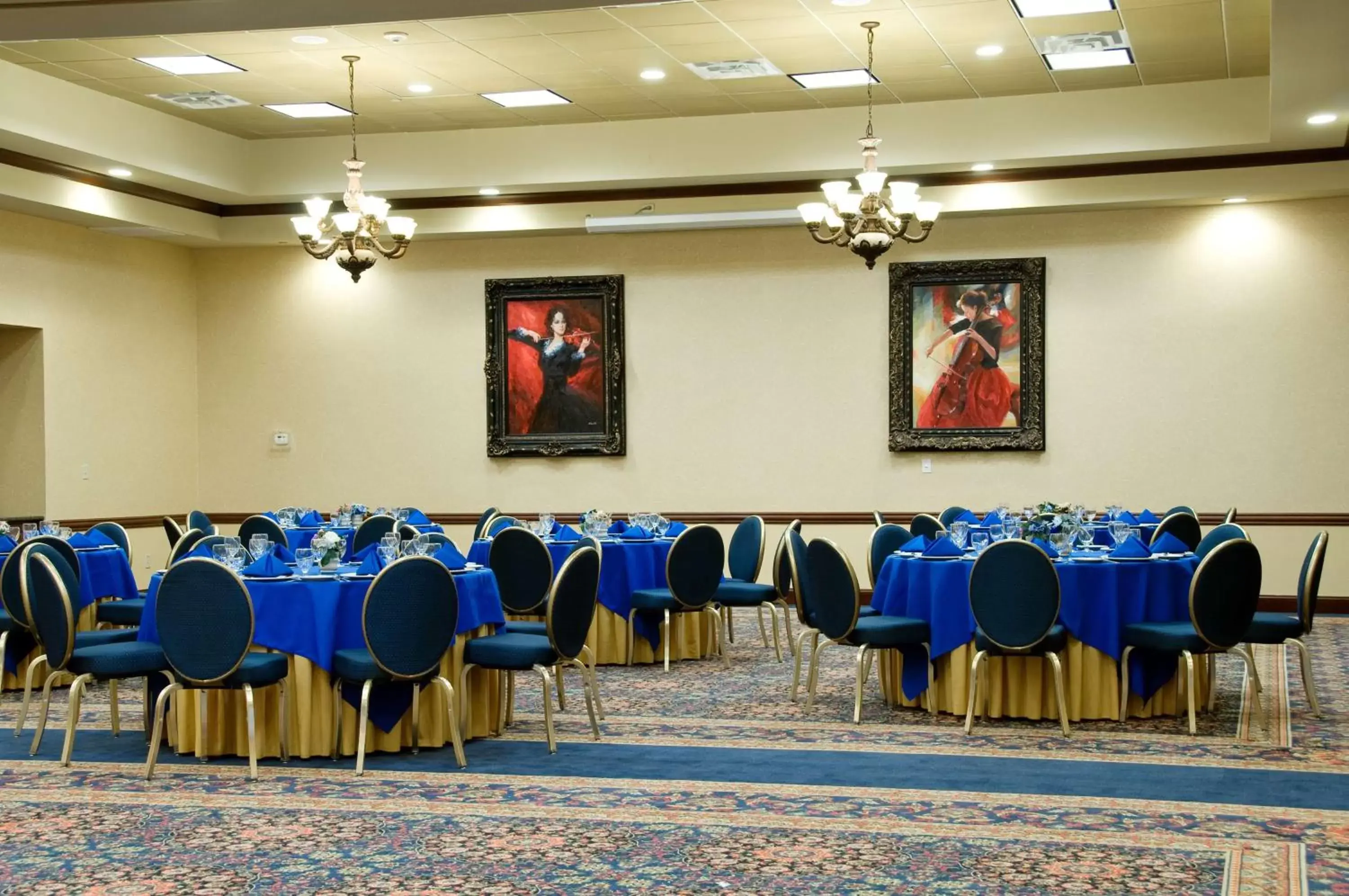 Meeting/conference room, Banquet Facilities in Hilton Garden Inn Amarillo