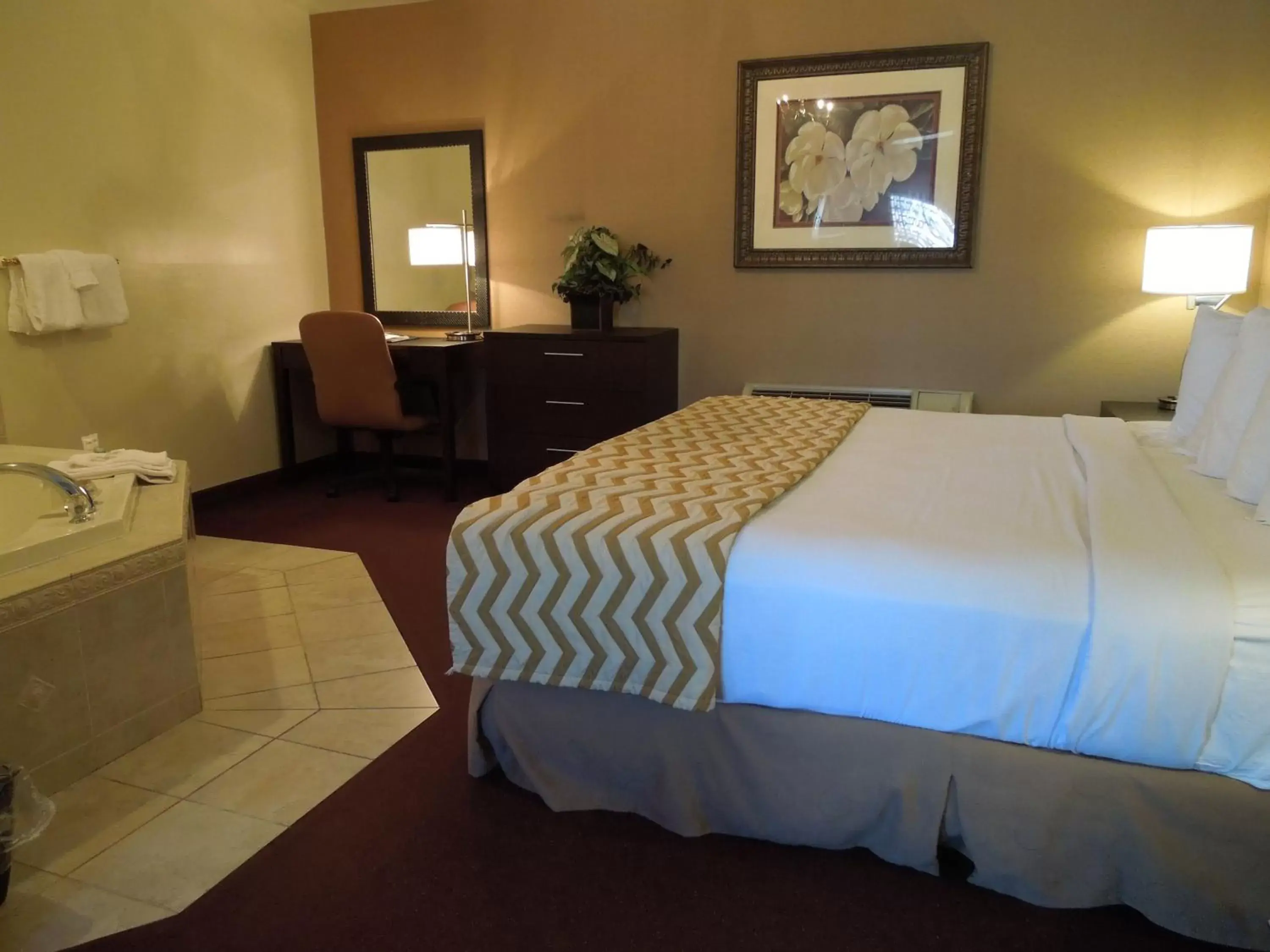 Bed in Super 8 by Wyndham Albany Bed in Super 8 by Wyndham Albany