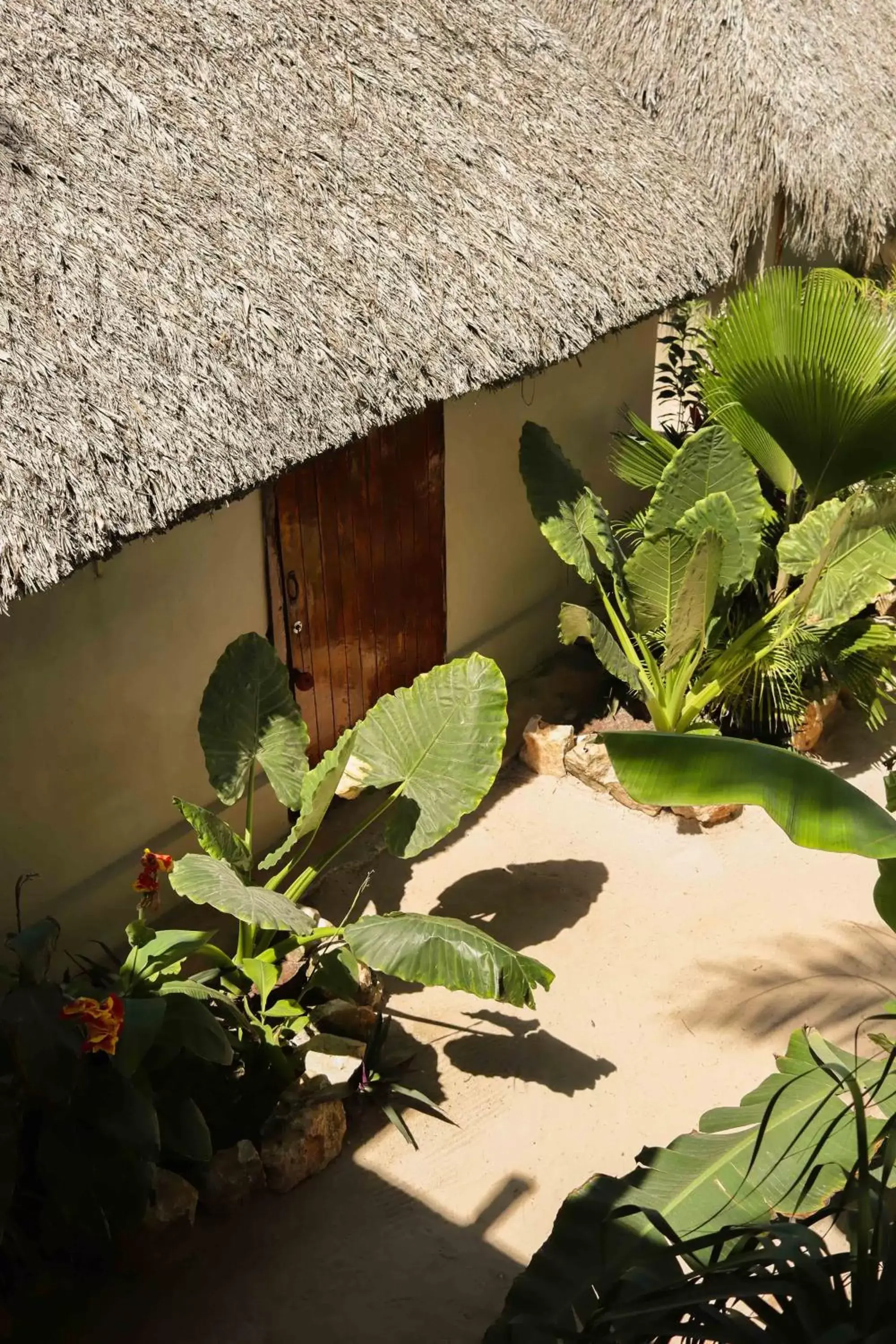 Casa Mate BeachFront Cabañas El Cuyo