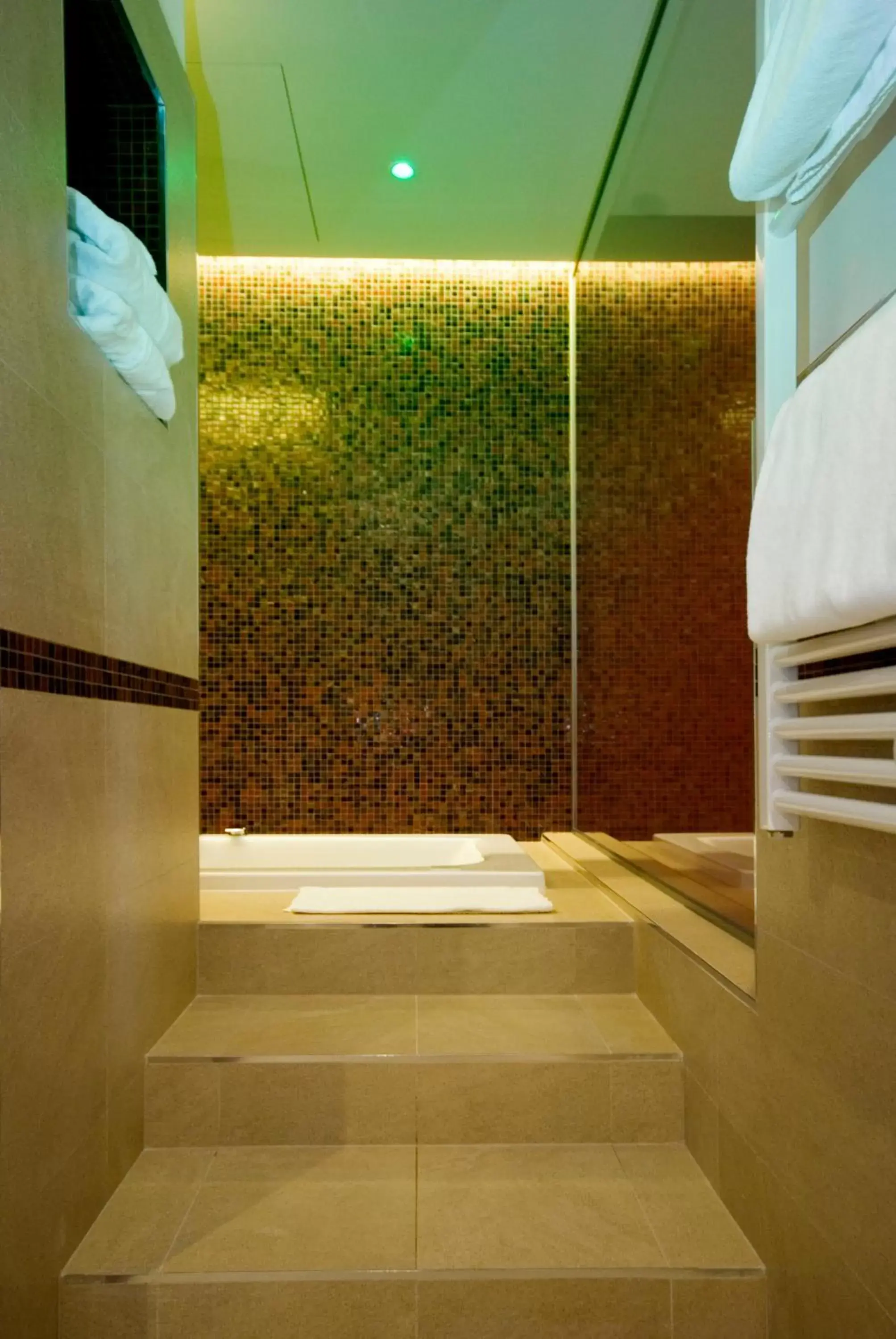 Hot Tub, Bathroom in Hotel Glamour