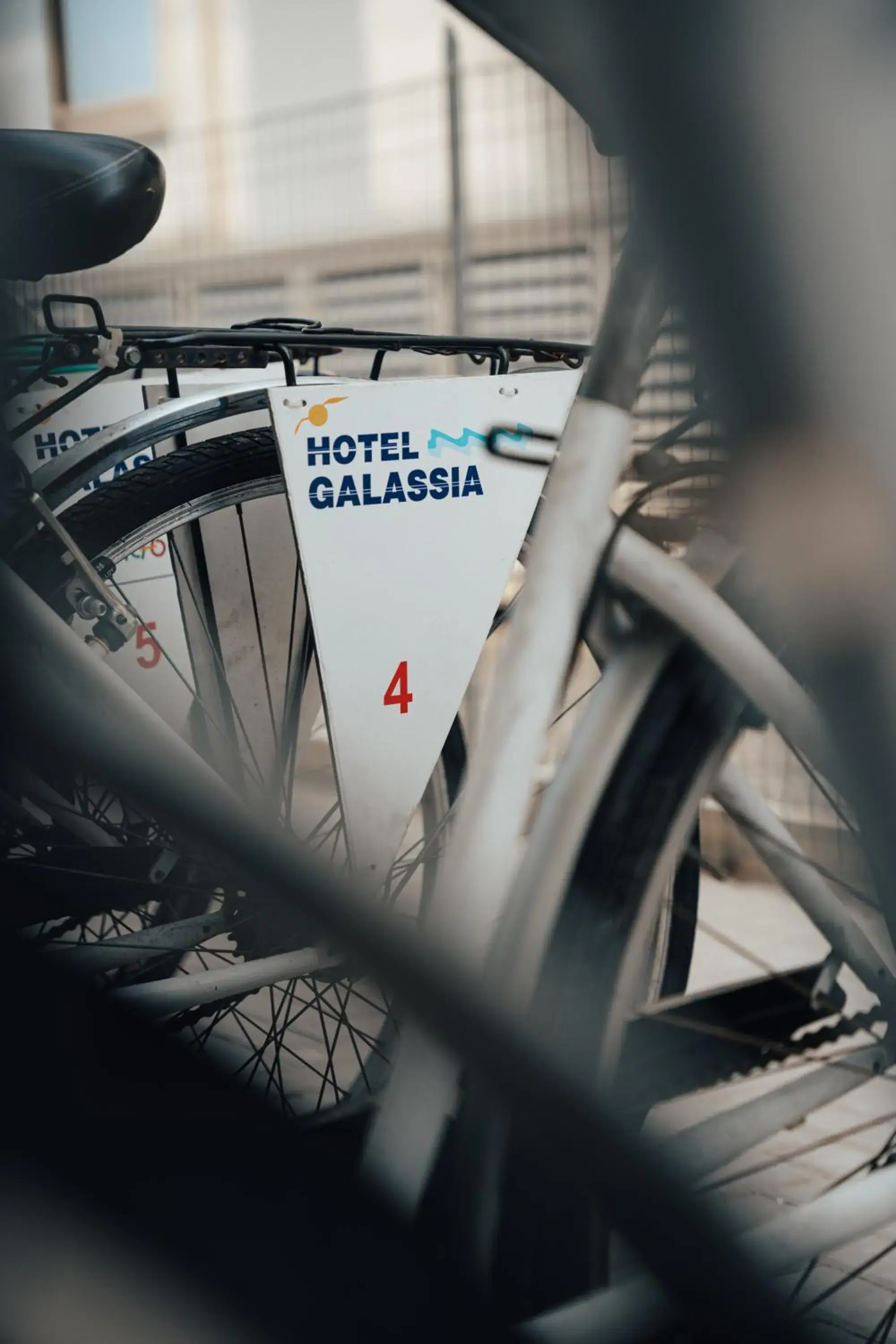 Cycling in Hotel Galassia Suites & Spa