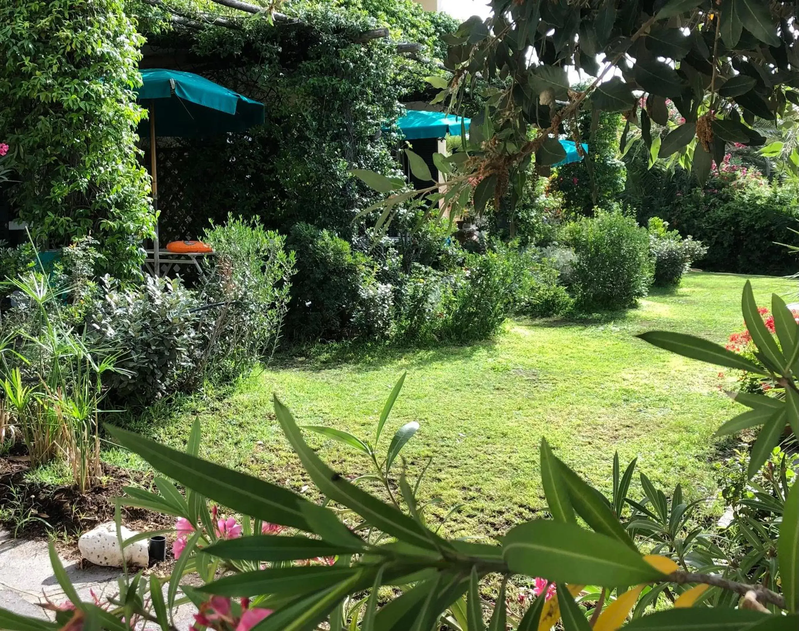 Garden view, Garden in Belvedere Residenza Mediterranea