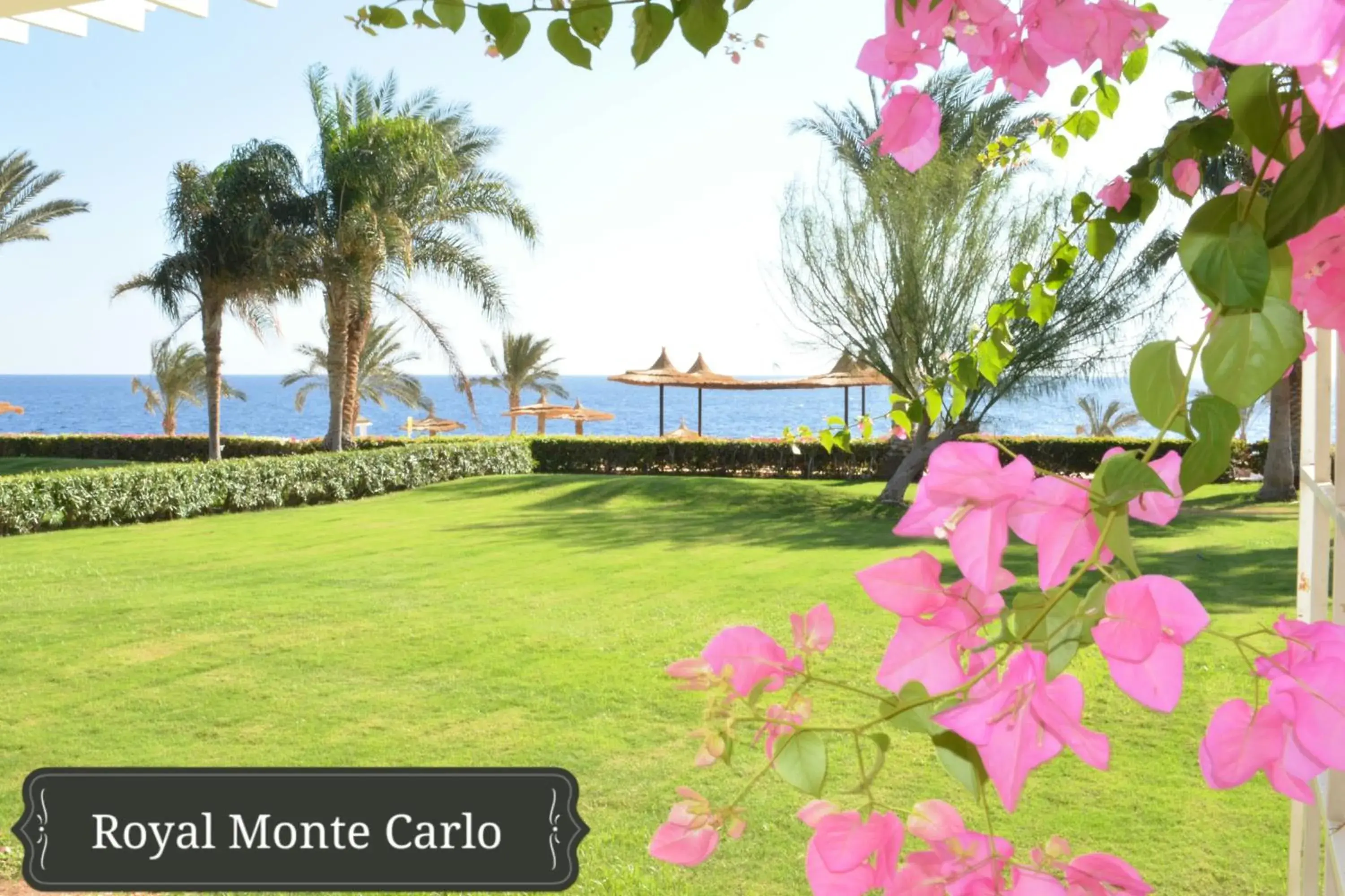 Royal Monte Carlo Sharm Villas & Suites