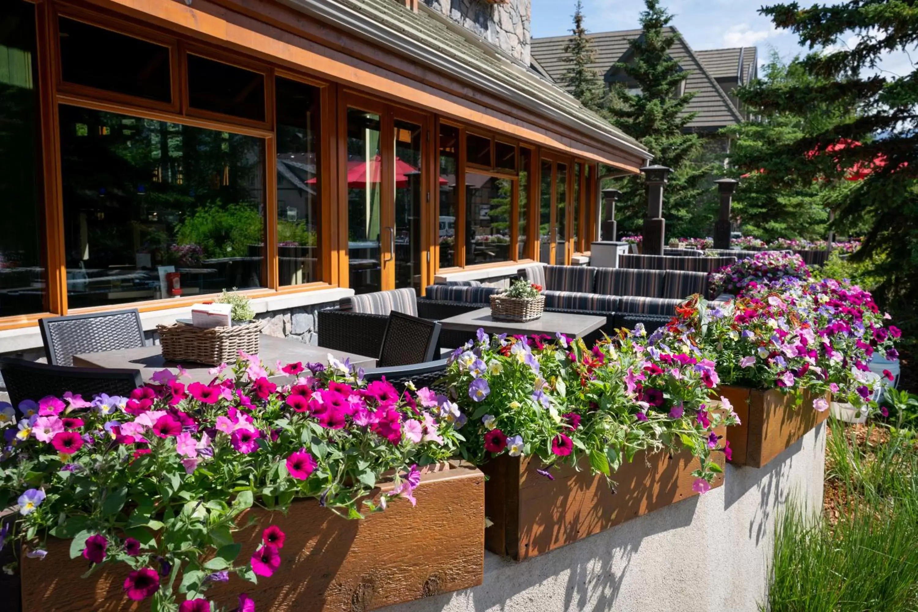 Patio in Fox Hotel and Suites