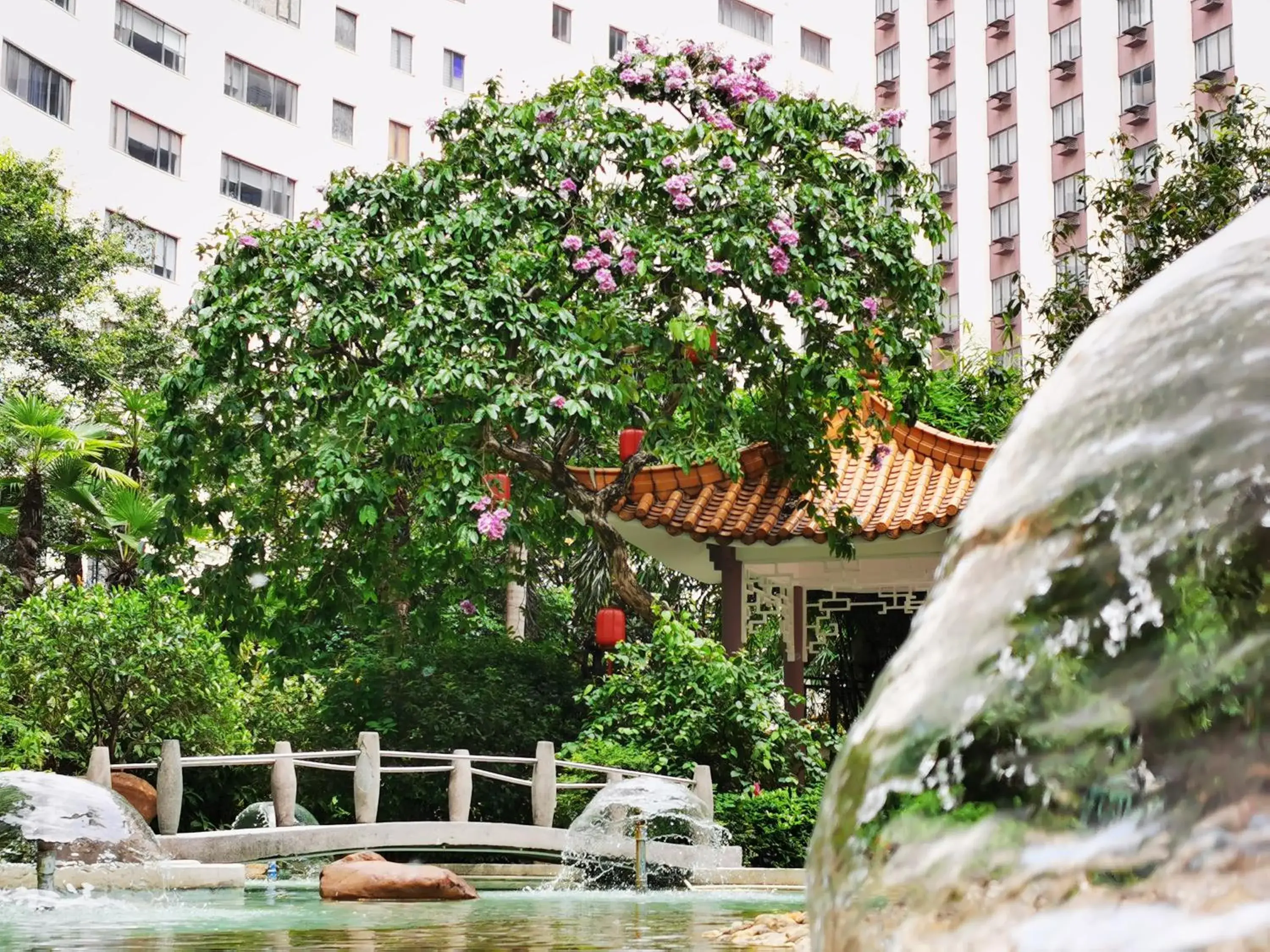 View (from property/room), Property Building in China Hotel