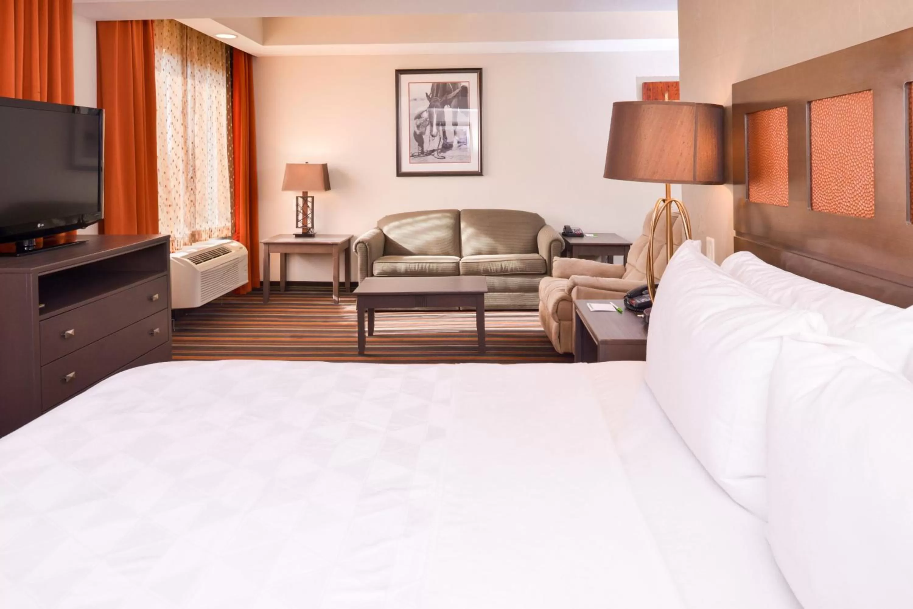 Bedroom, Bed in The Holiday Inn Amarillo West Medical Center by IHG