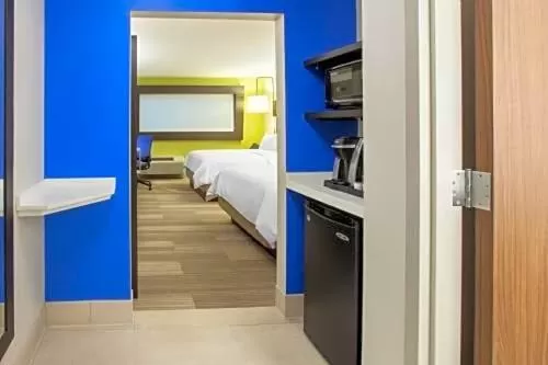 TV and multimedia, Bed in Holiday Inn Express & Suites Atlanta N - Woodstock by IHG