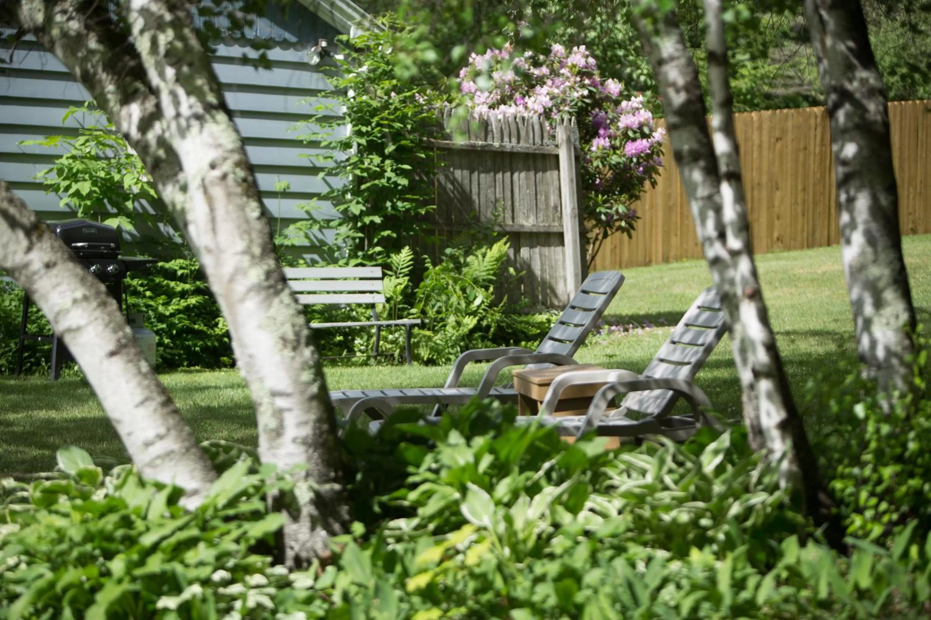 Garden in Governor's Rock Motel