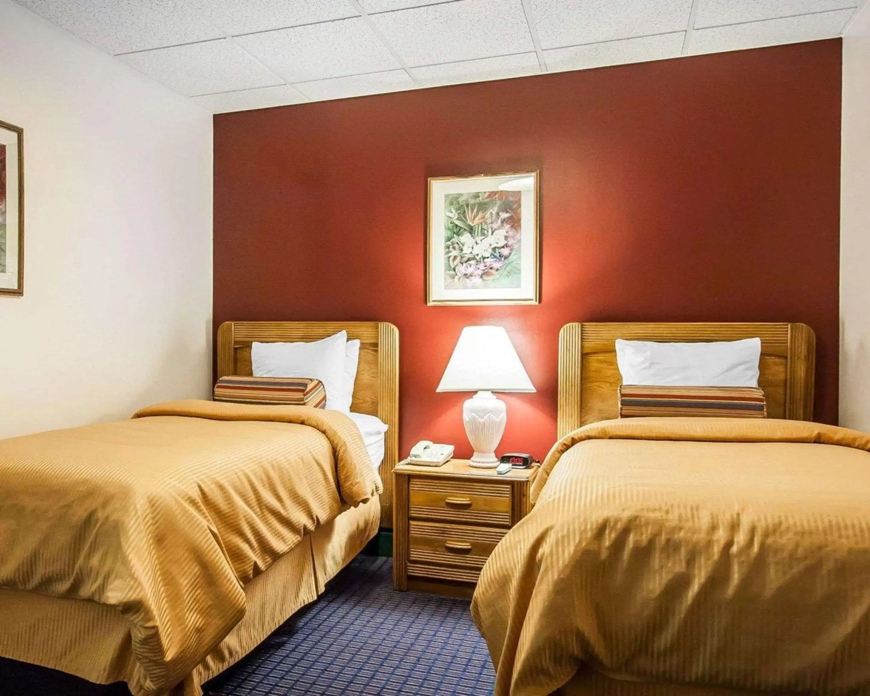 Photo of the whole room, Bed in Clarion Hotel Branson