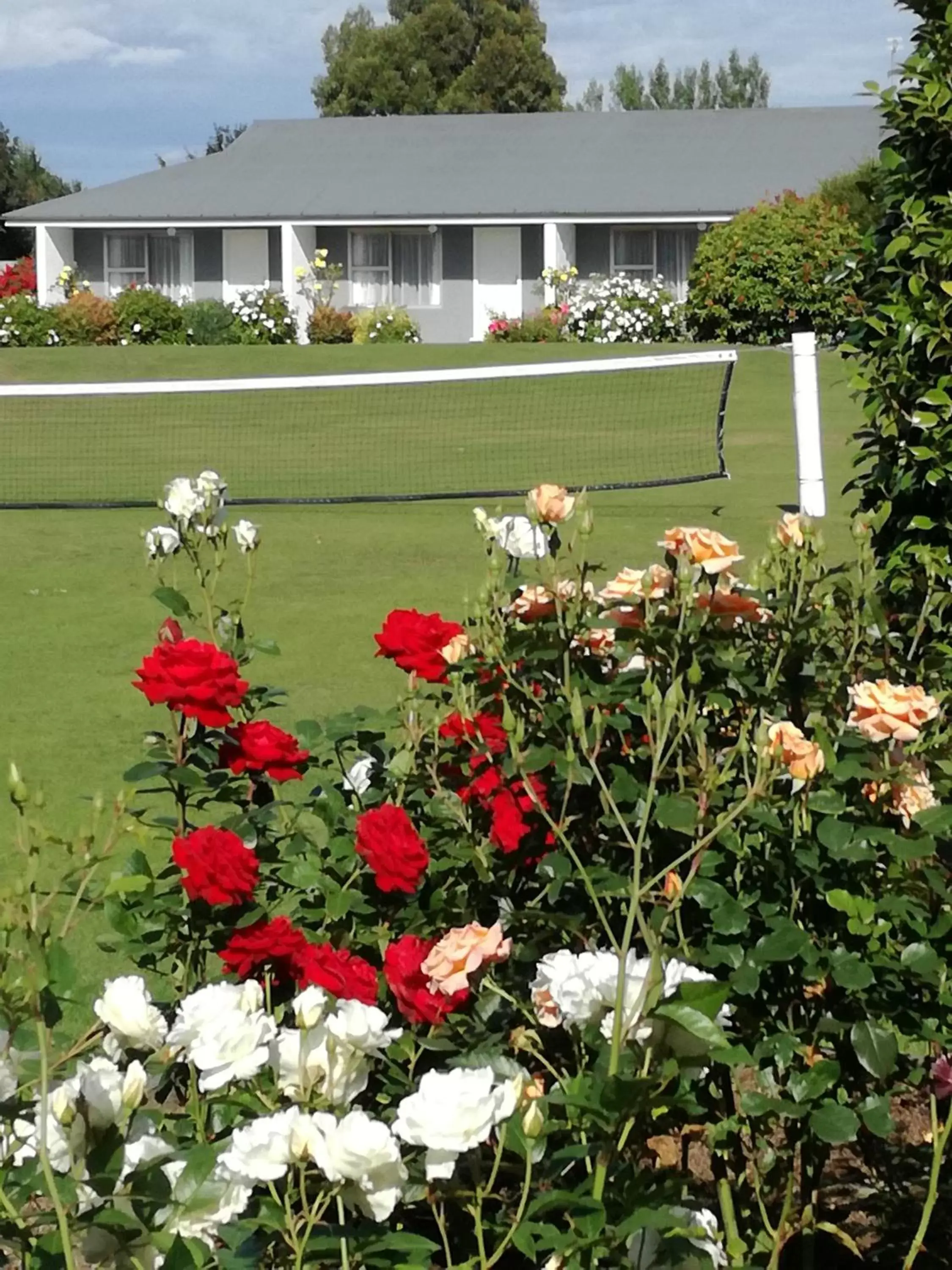 Garden in Mount Hutt Motels