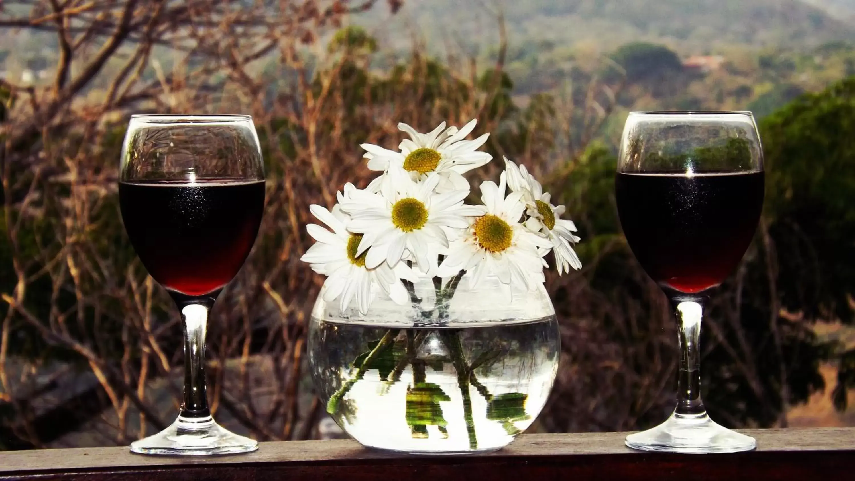 Drinks in Hotel Villas de la Colina