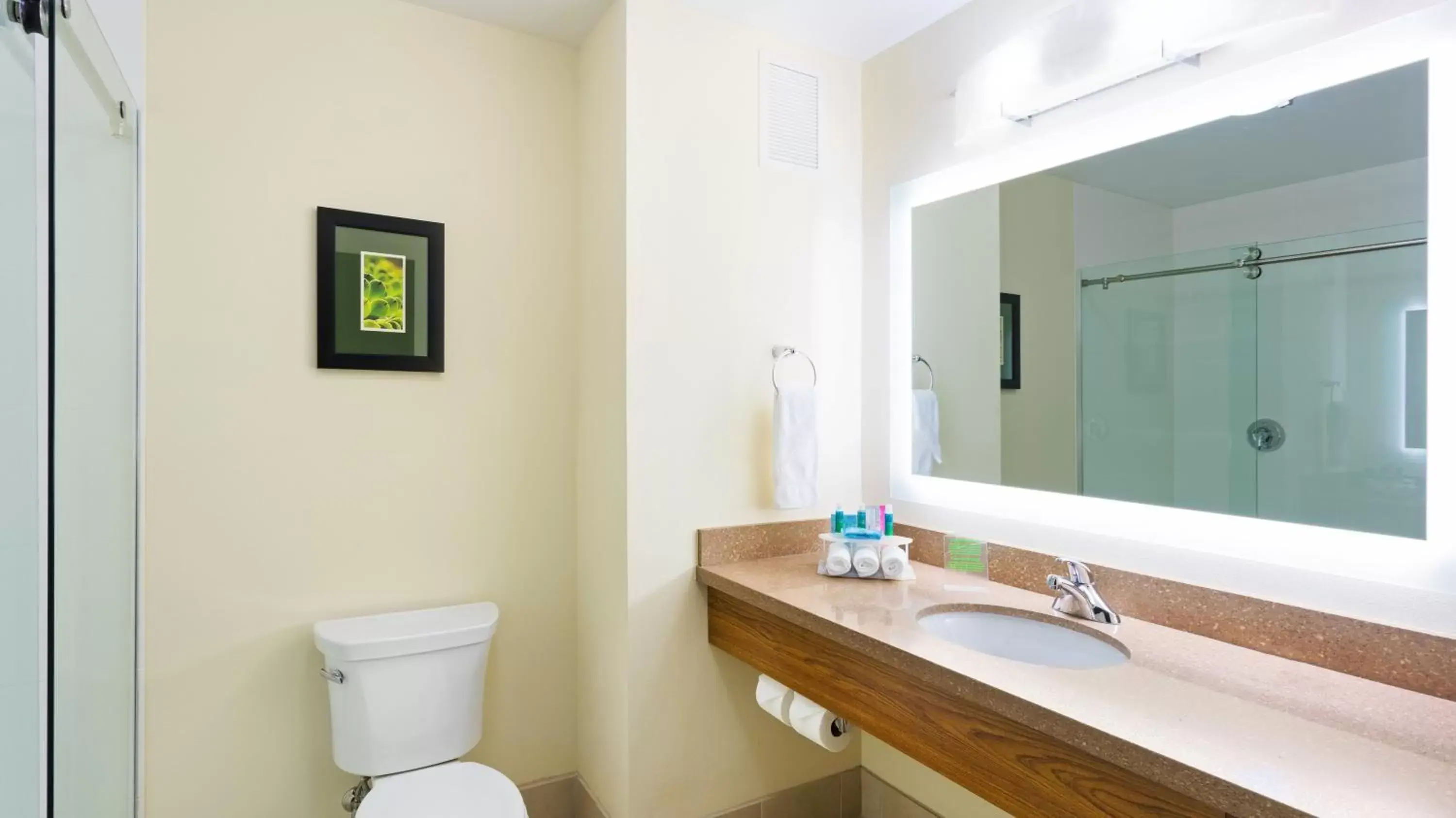 Bathroom in Holiday Inn Express & Suites Midland South I-20, an IHG Hotel