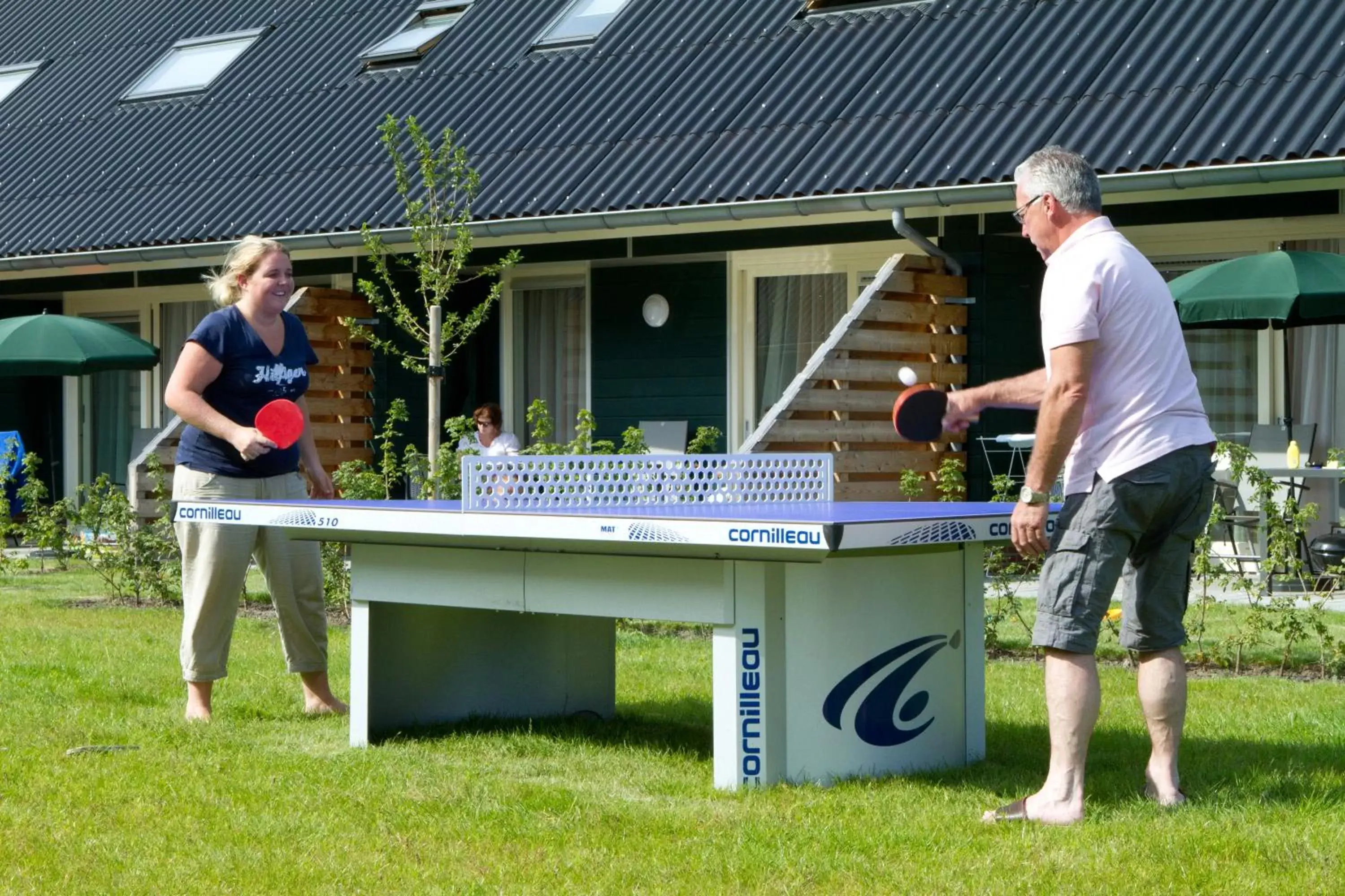 Table tennis in Horsetellerie Rheezerveen