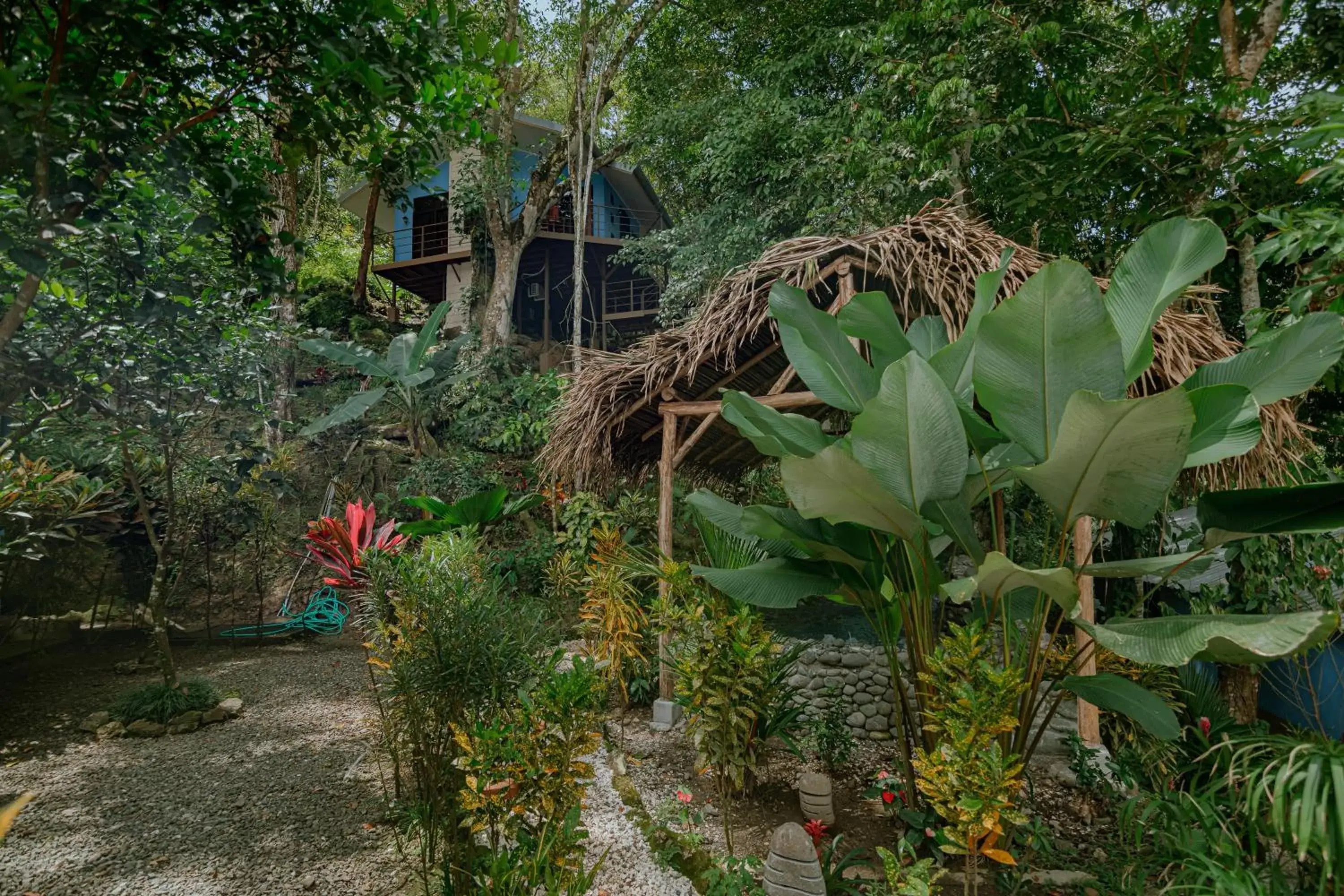 Garden in Oasis Diverse Adult Retreat