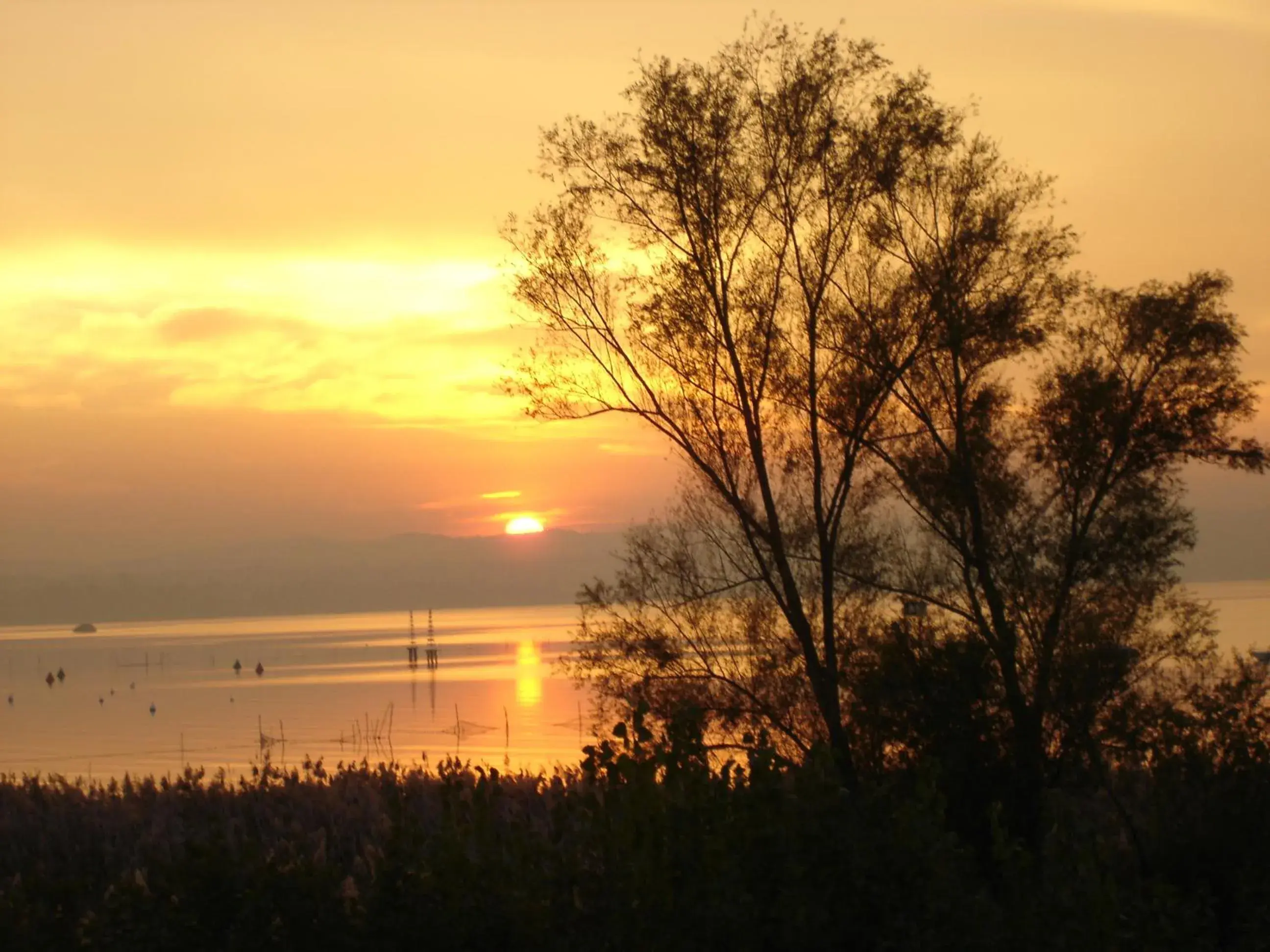 Lake view, Sunrise/Sunset in Hotel La Rondine
