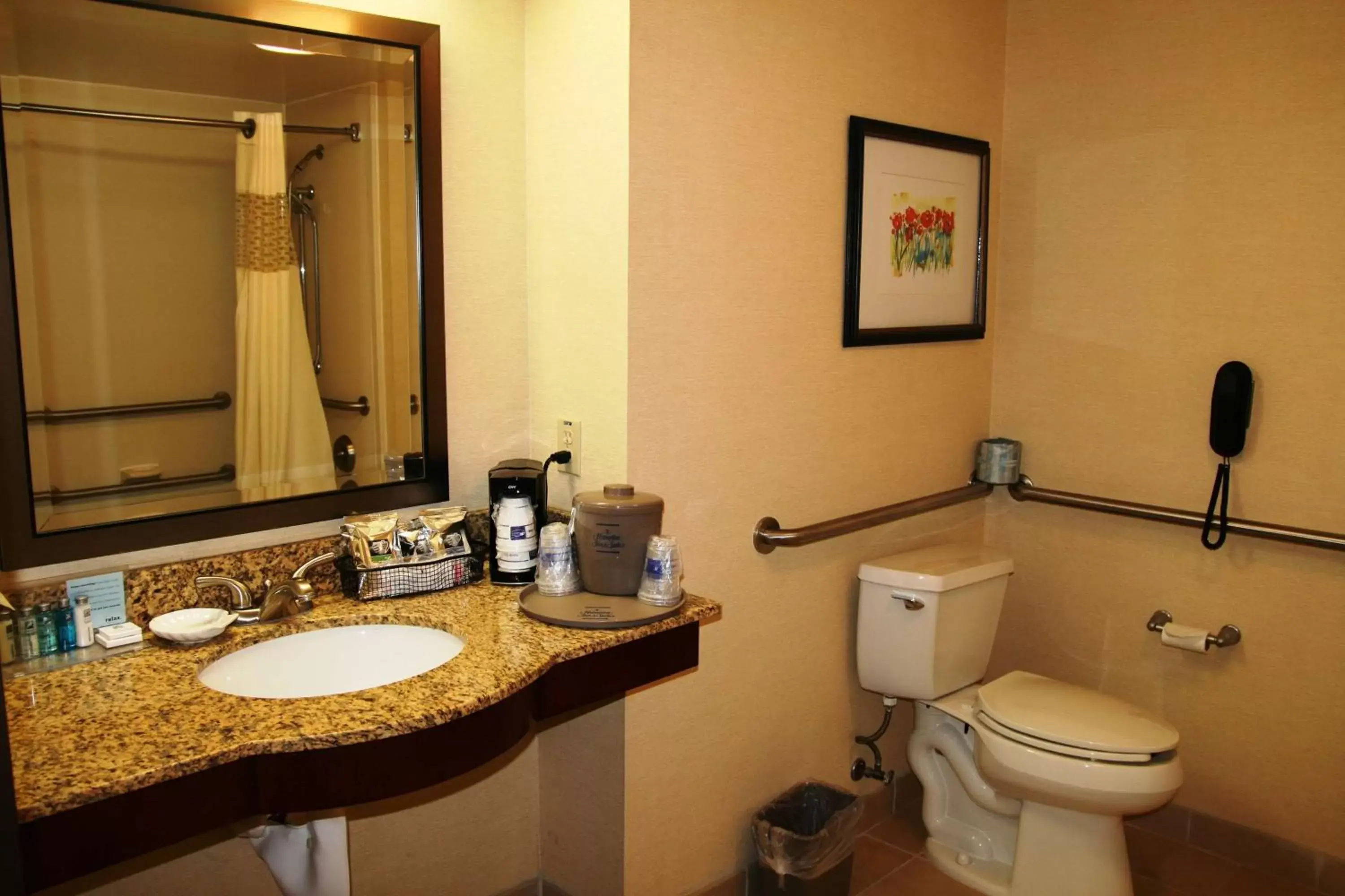 Bathroom in Hampton Inn & Suites Lancaster