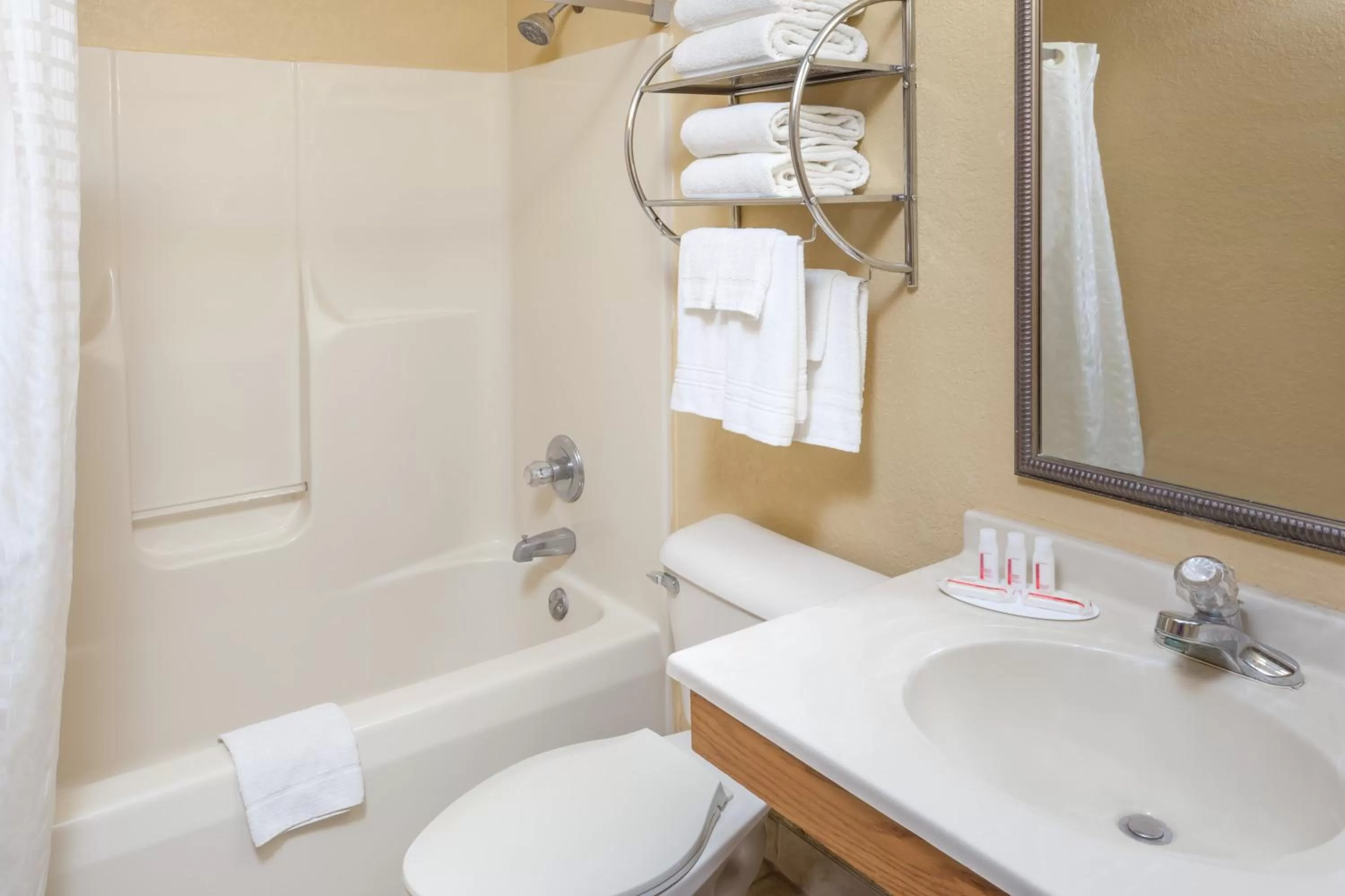 Toilet in Econo Lodge