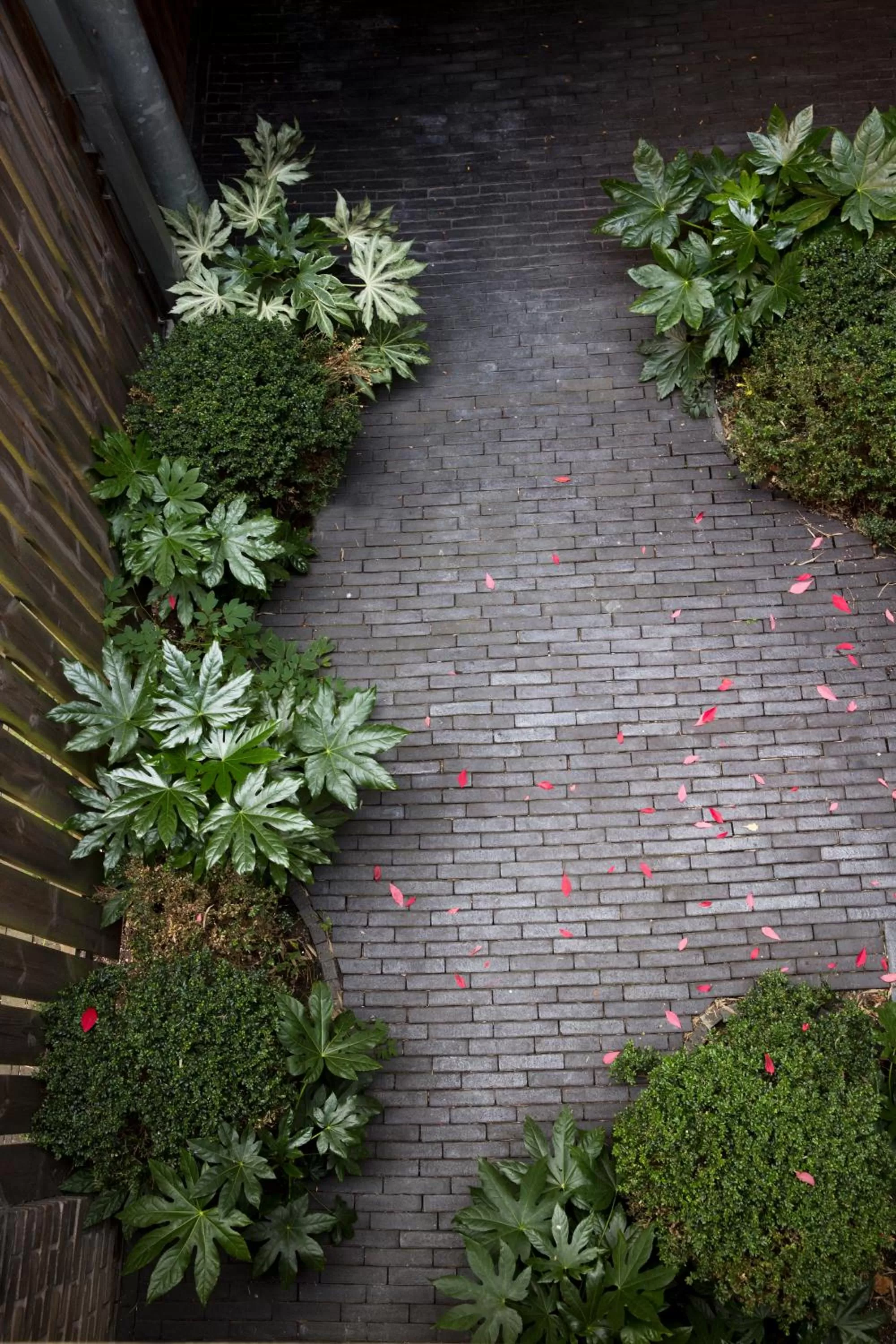 Decorative detail in Antwerp For Two B&B