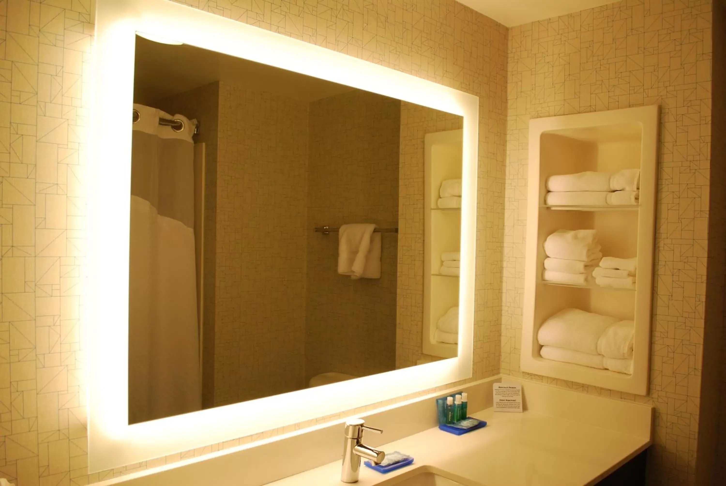Bathroom in Holiday Inn Express Hotel & Suites Kingsport-Meadowview I-26, an IHG Hotel