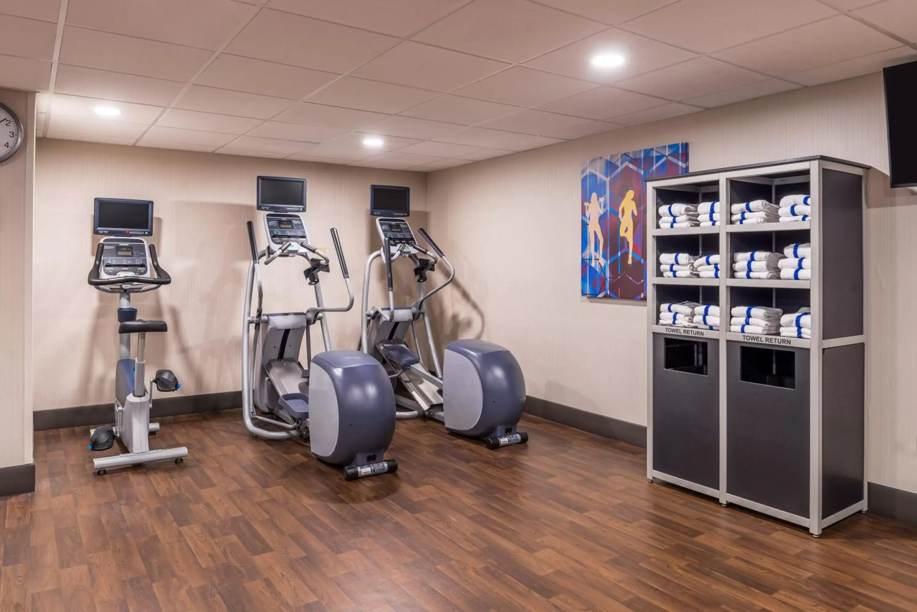 Fitness centre/facilities, Fitness Center/Facilities in Holiday Inn Auburn-Finger Lakes Region, an IHG Hotel