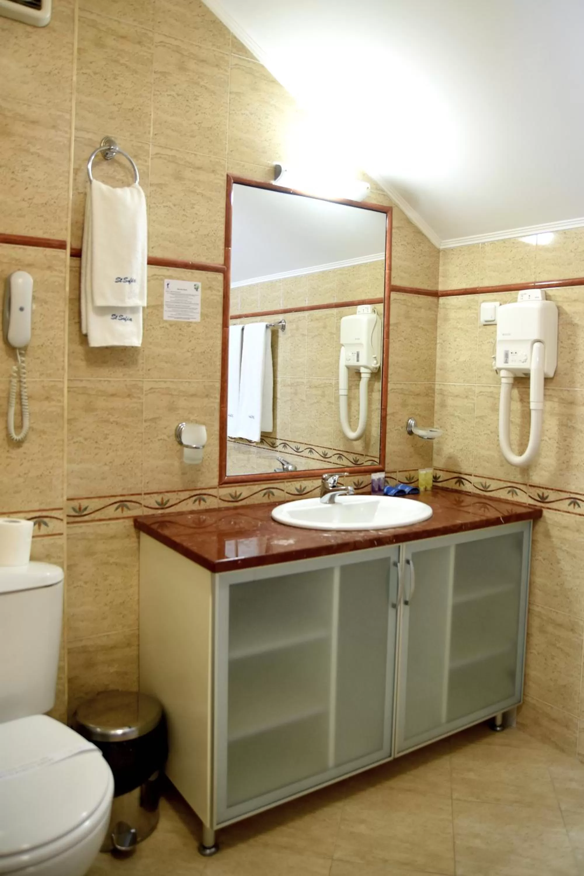 Shower in Sveta Sofia Hotel