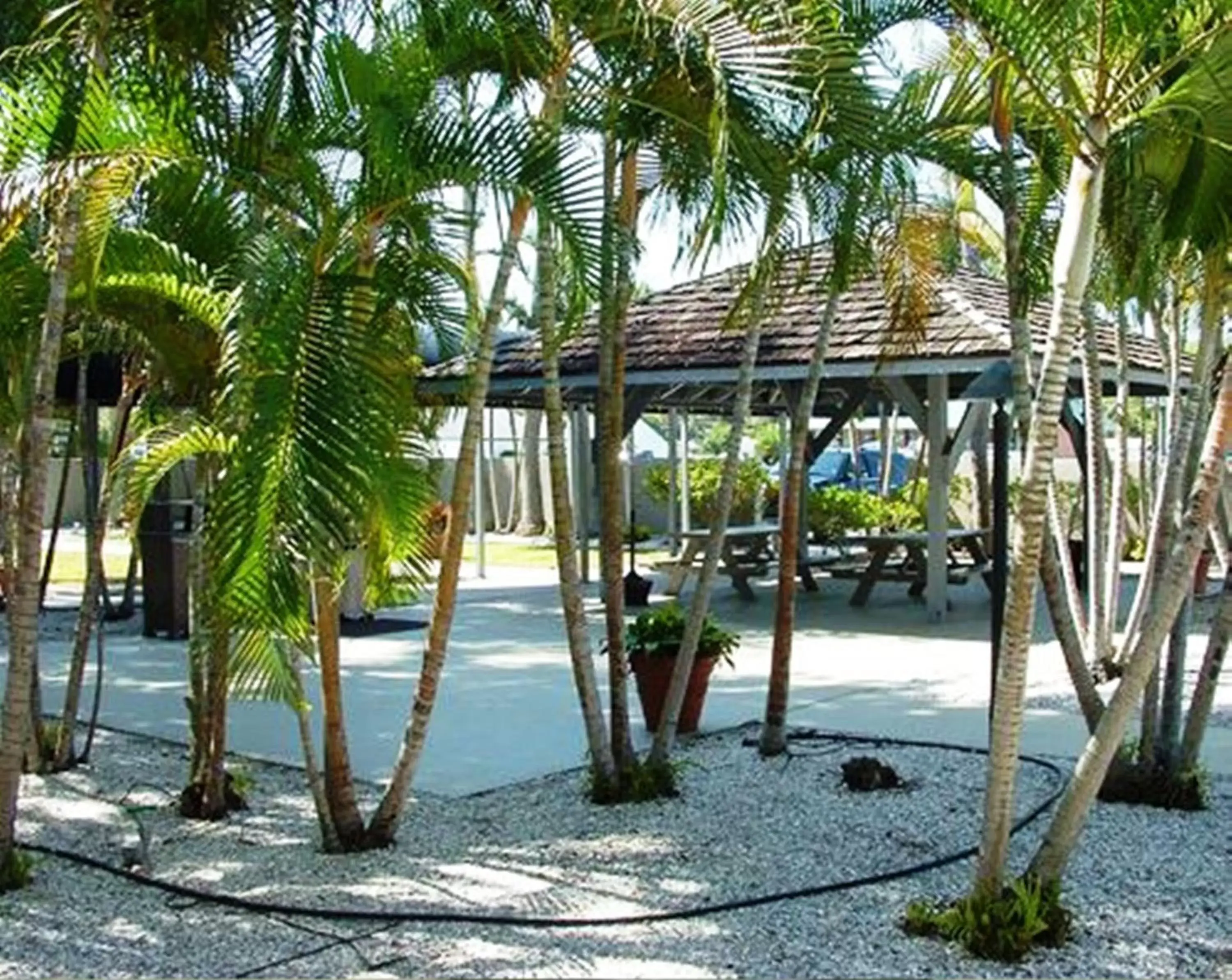 Patio in Lantern Inn & Suites - Sarasota