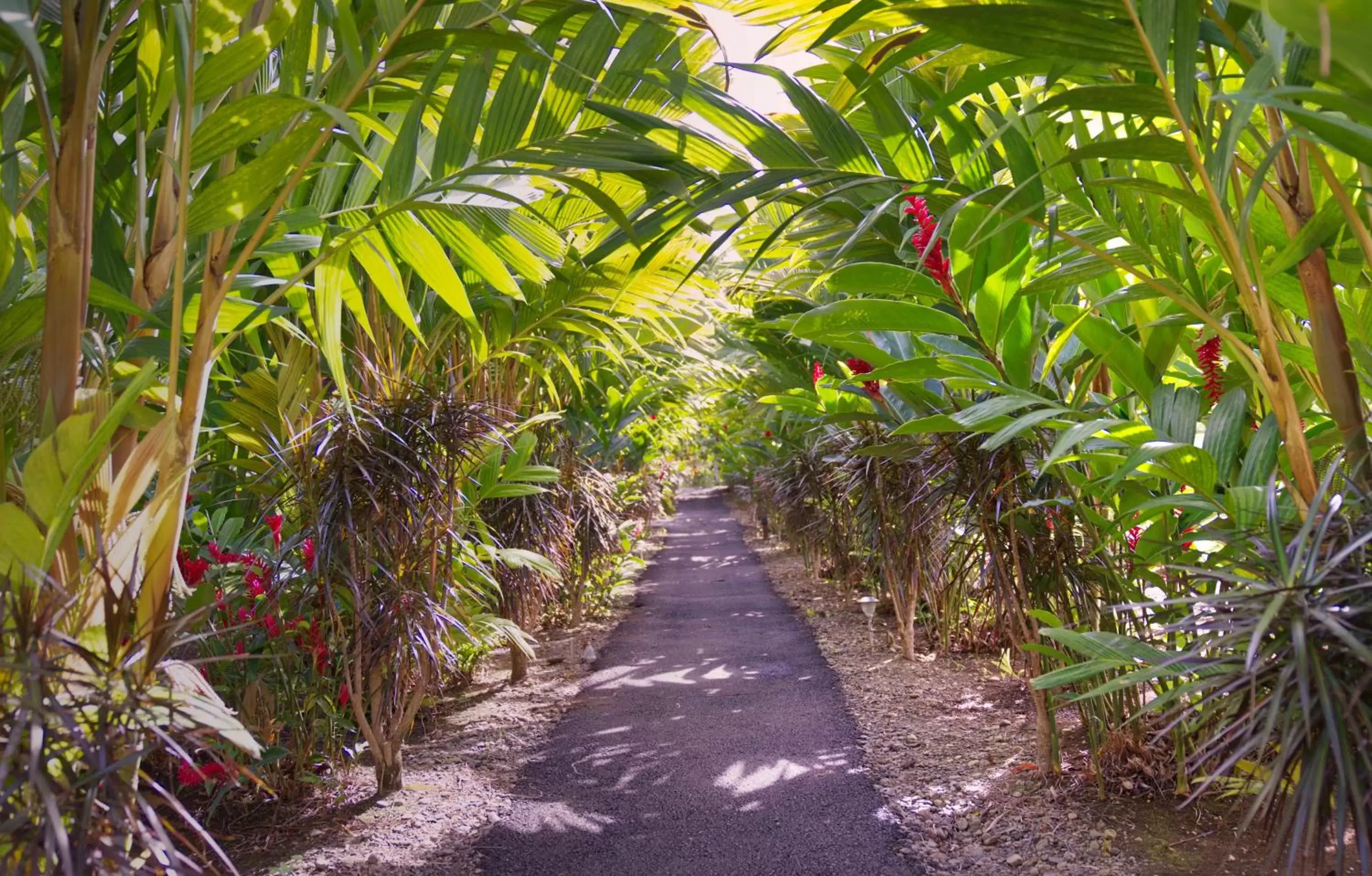 Day, Garden in Hotel Heliconias Nature Inn & Hot Springs