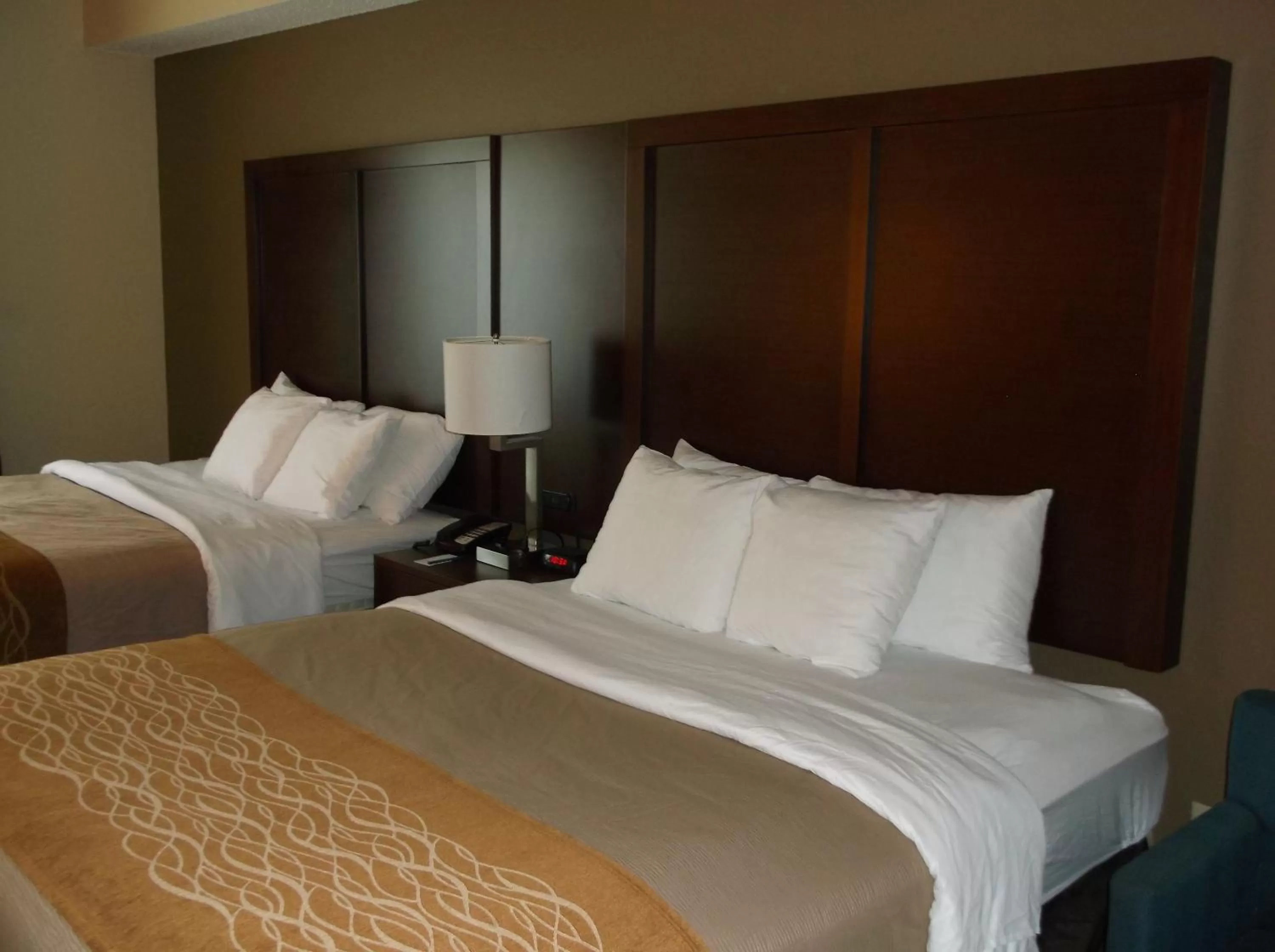 Bed in Comfort Inn & Suites