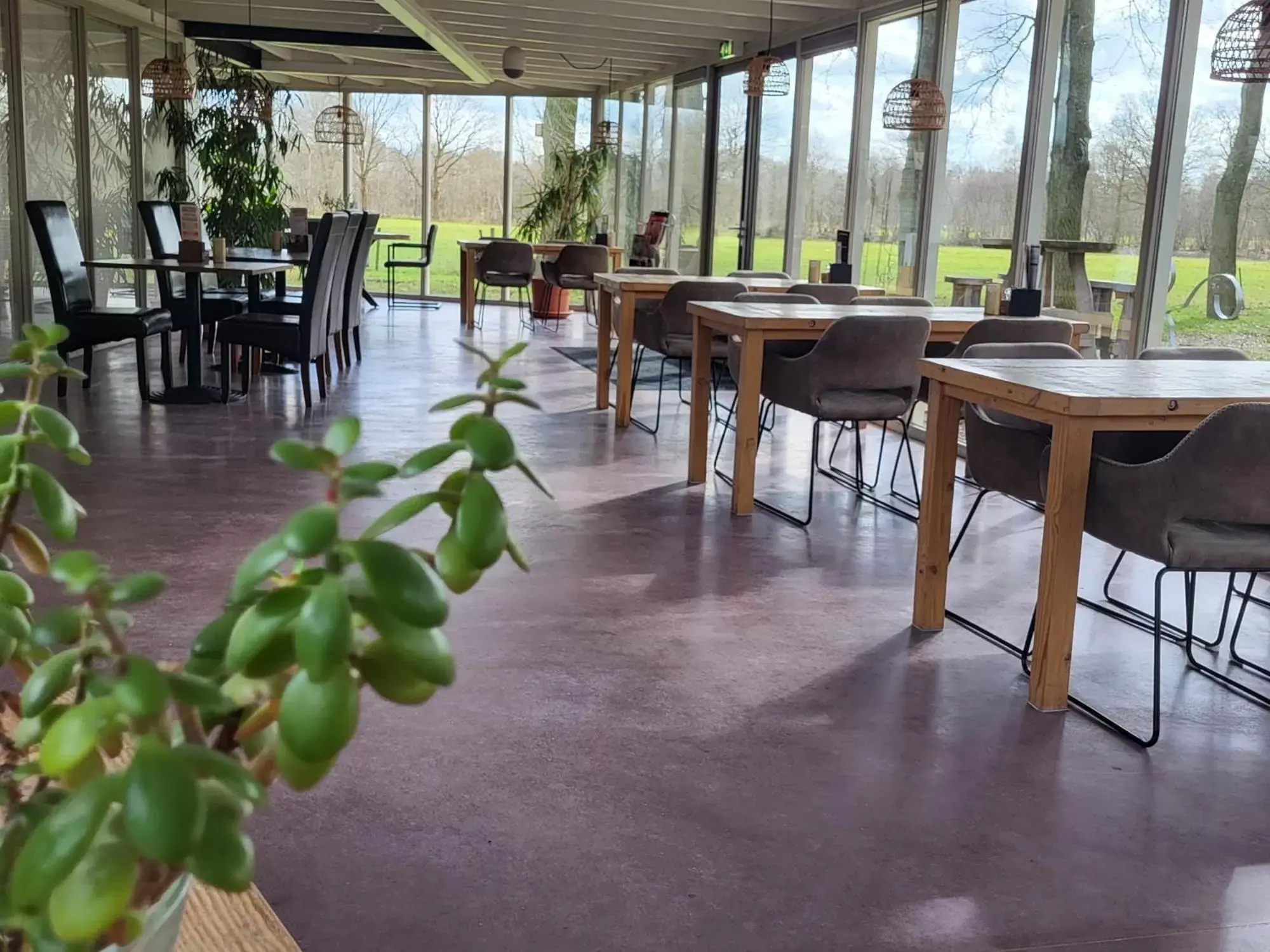 Restaurant/Places to Eat in Landhotel Diever