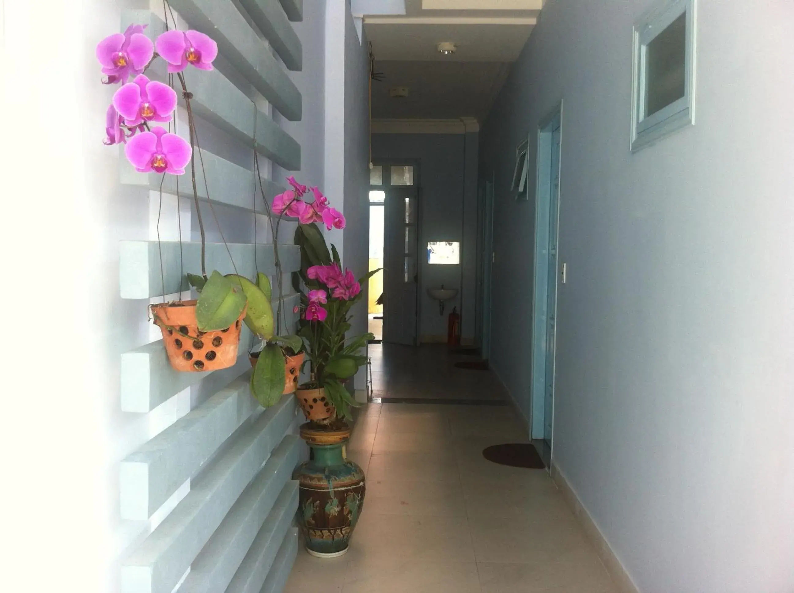 Other in Areca Homestay