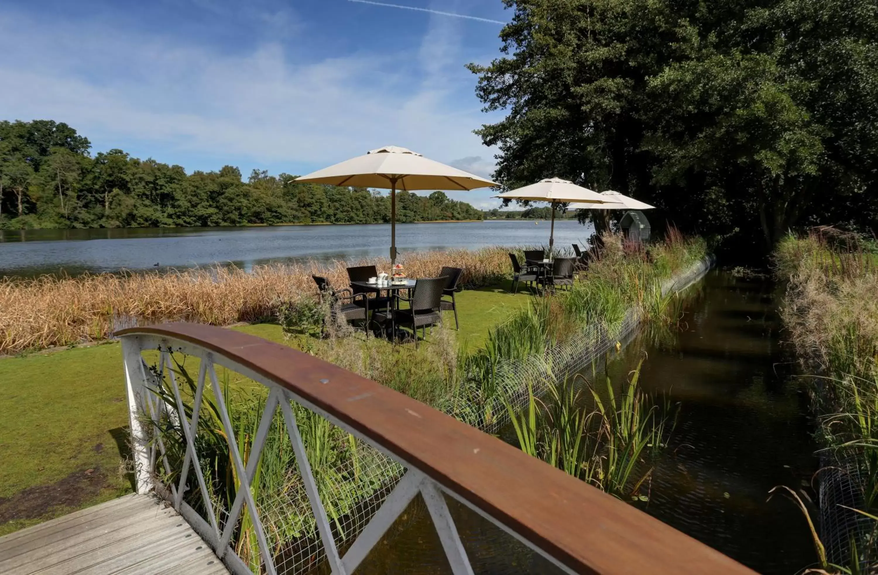 Restaurant/places to eat in Frensham Pond Country House Hotel & Spa