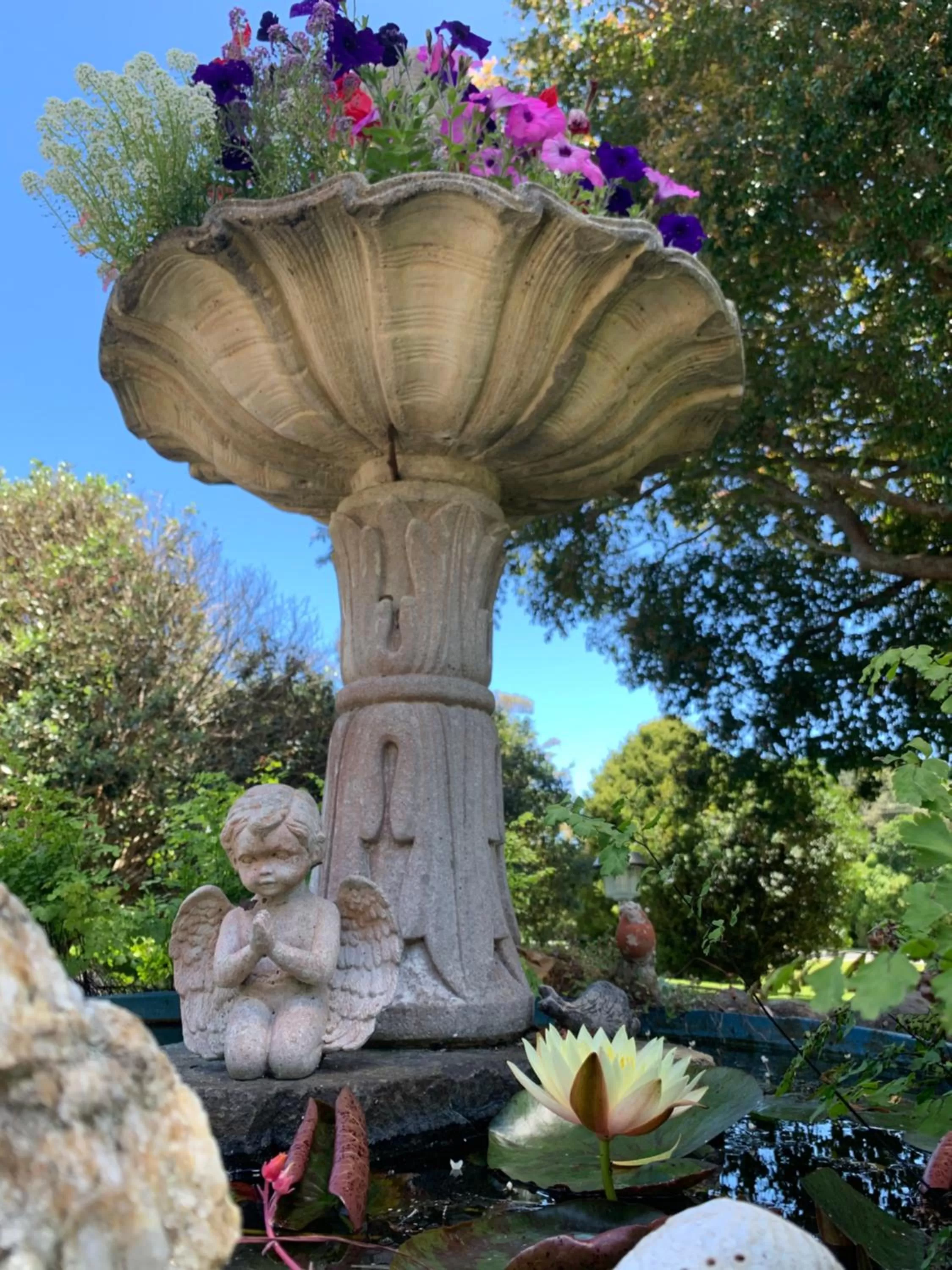 Garden in Karamana Homestead (1872)