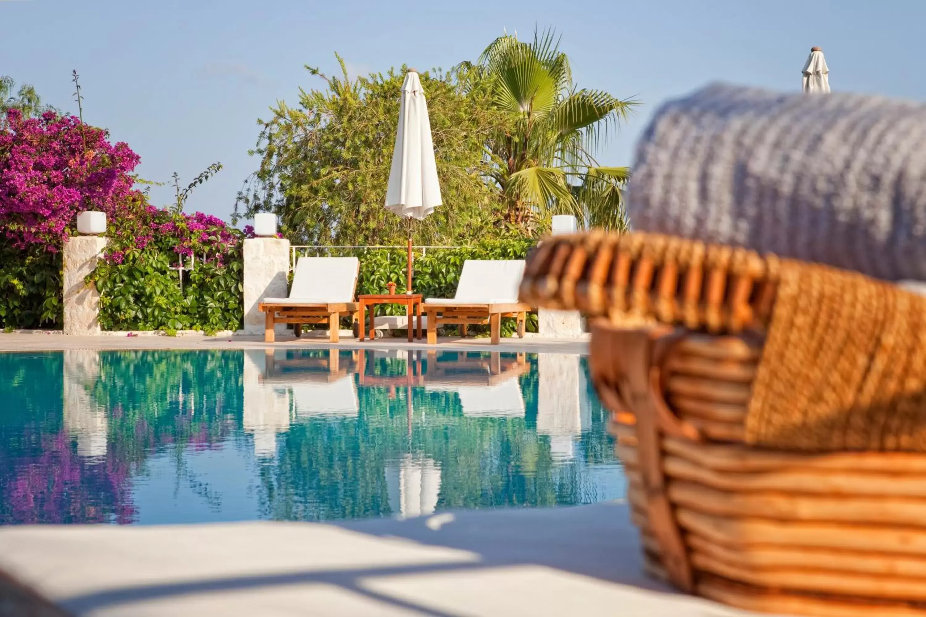 Decorative detail, Swimming Pool in Olea Nova Hotel